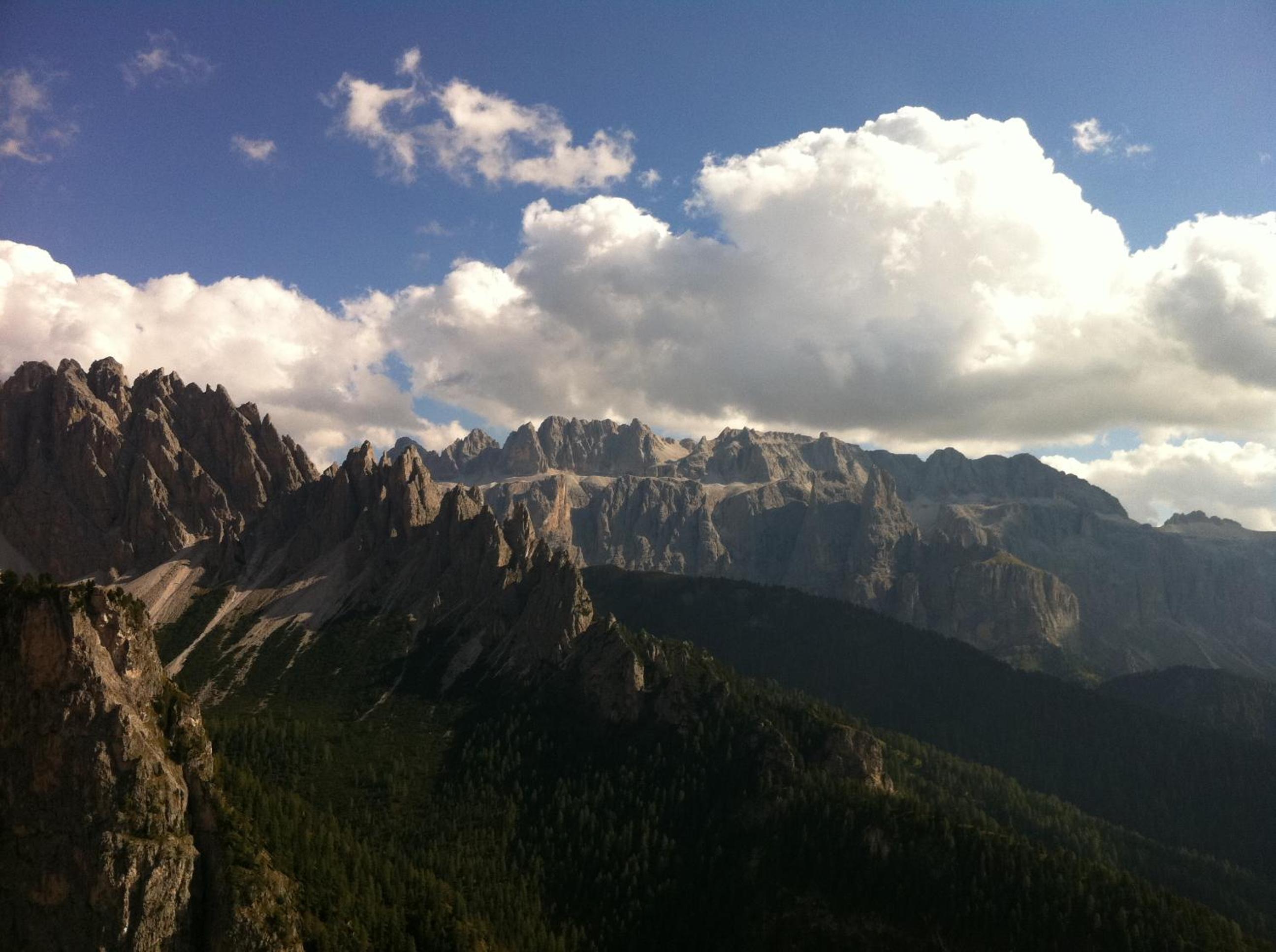 Photo 45