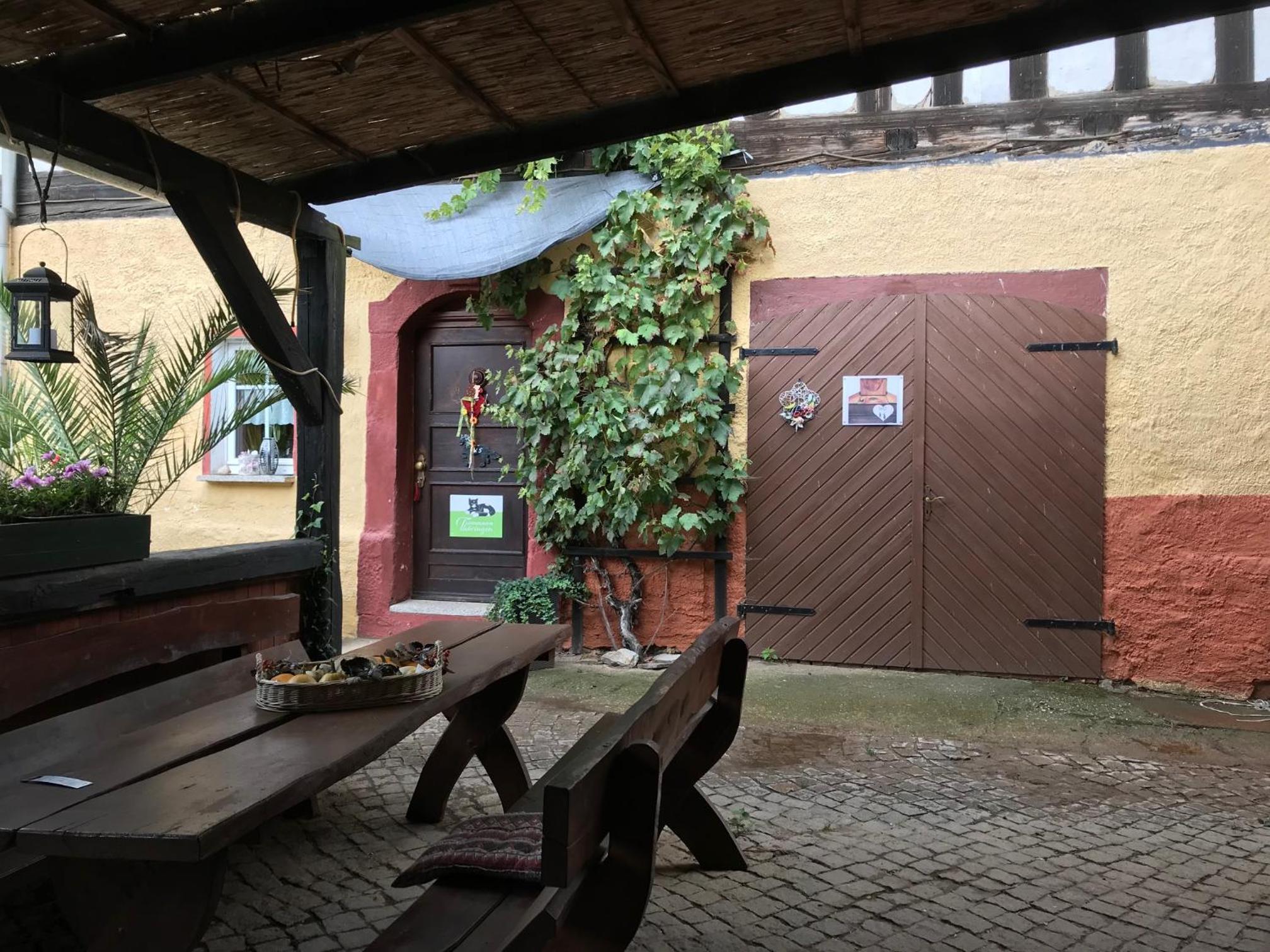Ferienwohnung Sunshine vom Friesenhof Wieratal