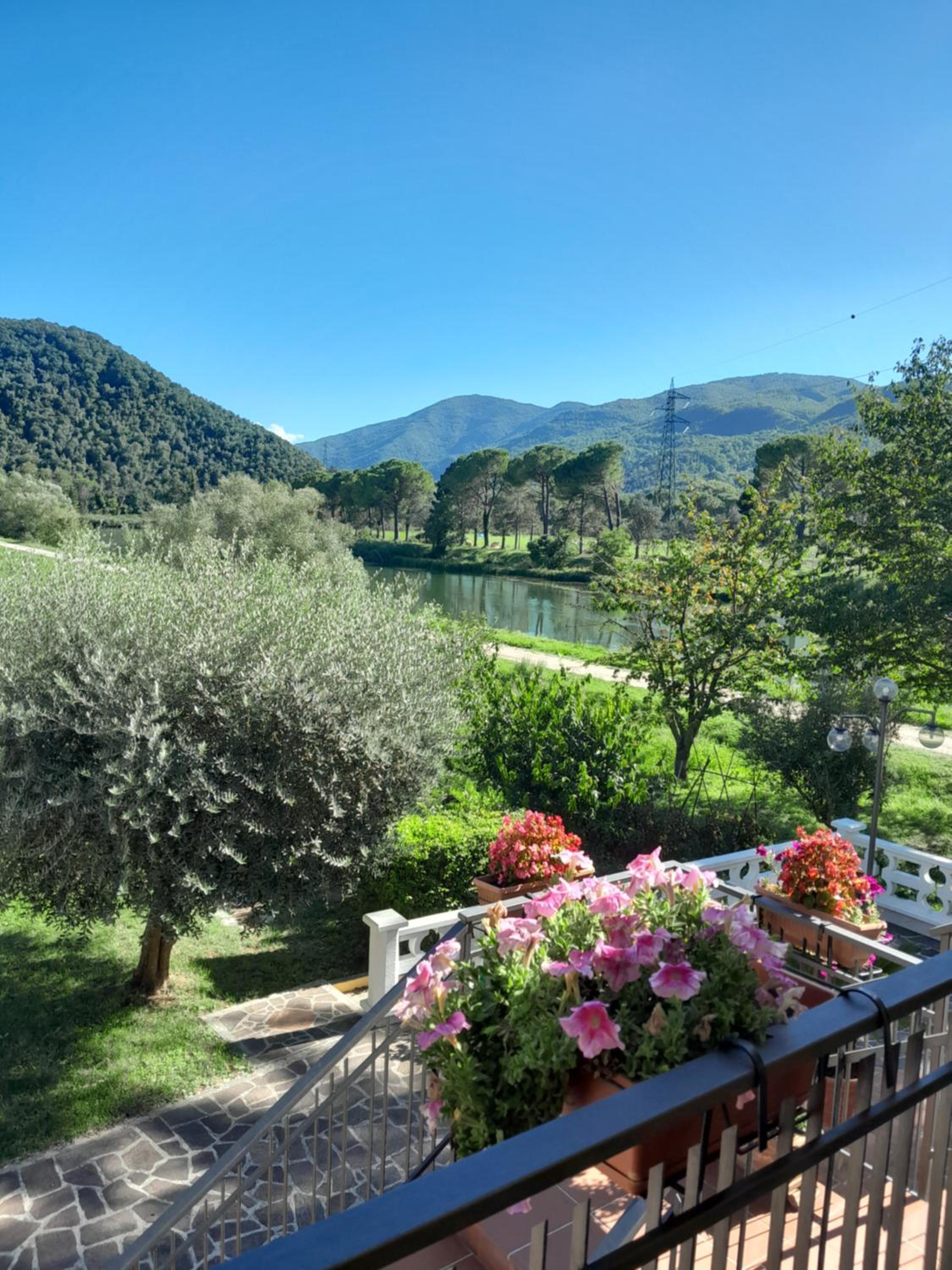 La Cannucciola
