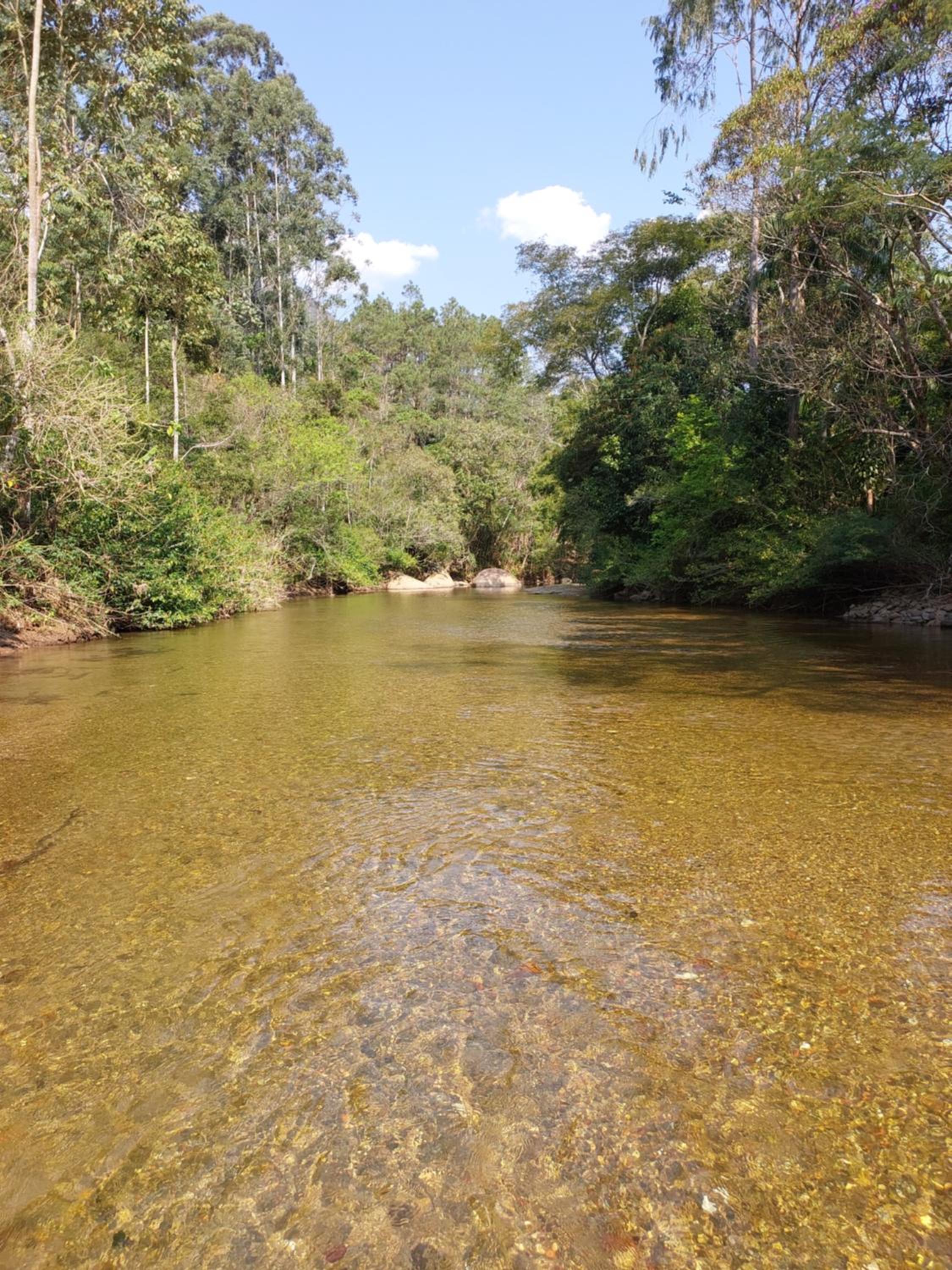 Lumiar Eco Lodge - Chalé Telhado Verde