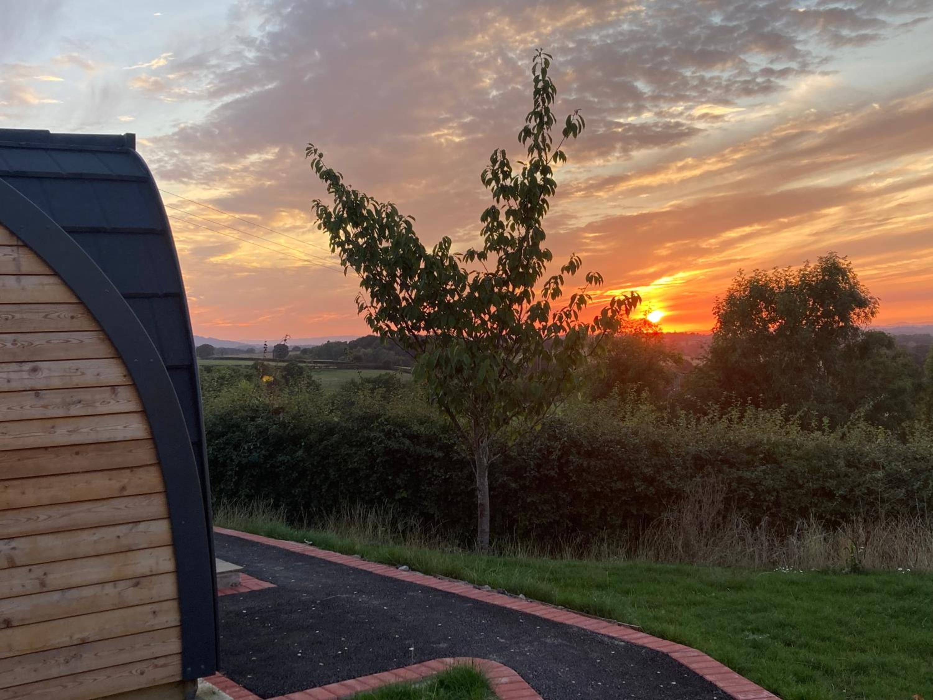 Rabbit Glamping Pod view 2