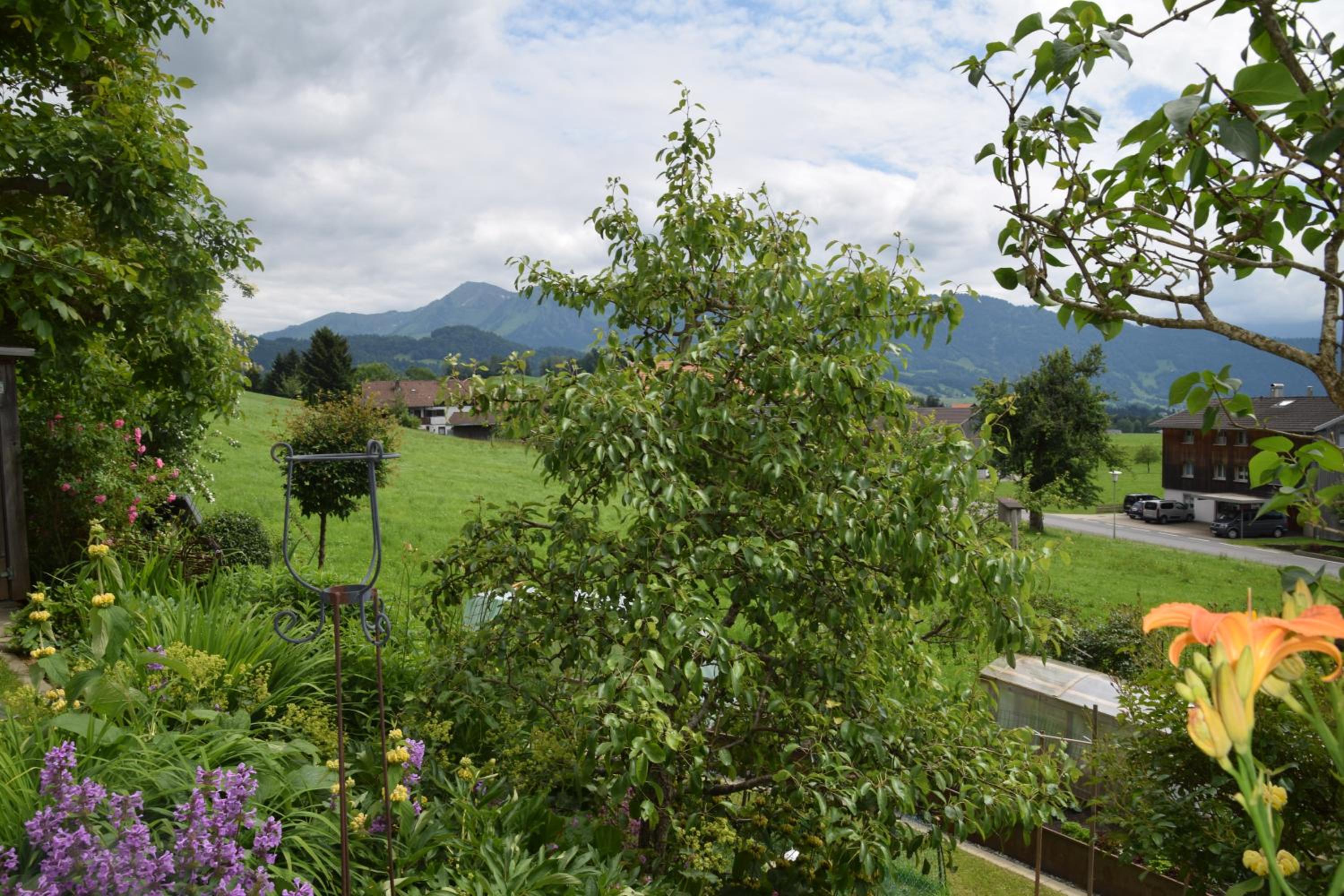 Ferienwohnung auf der sonnigen Südseite view 5