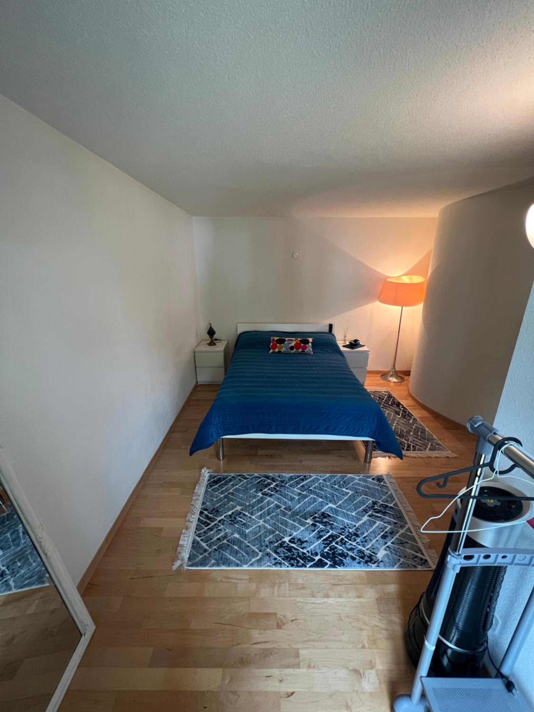 Get Cozy Flat Zürich view 4