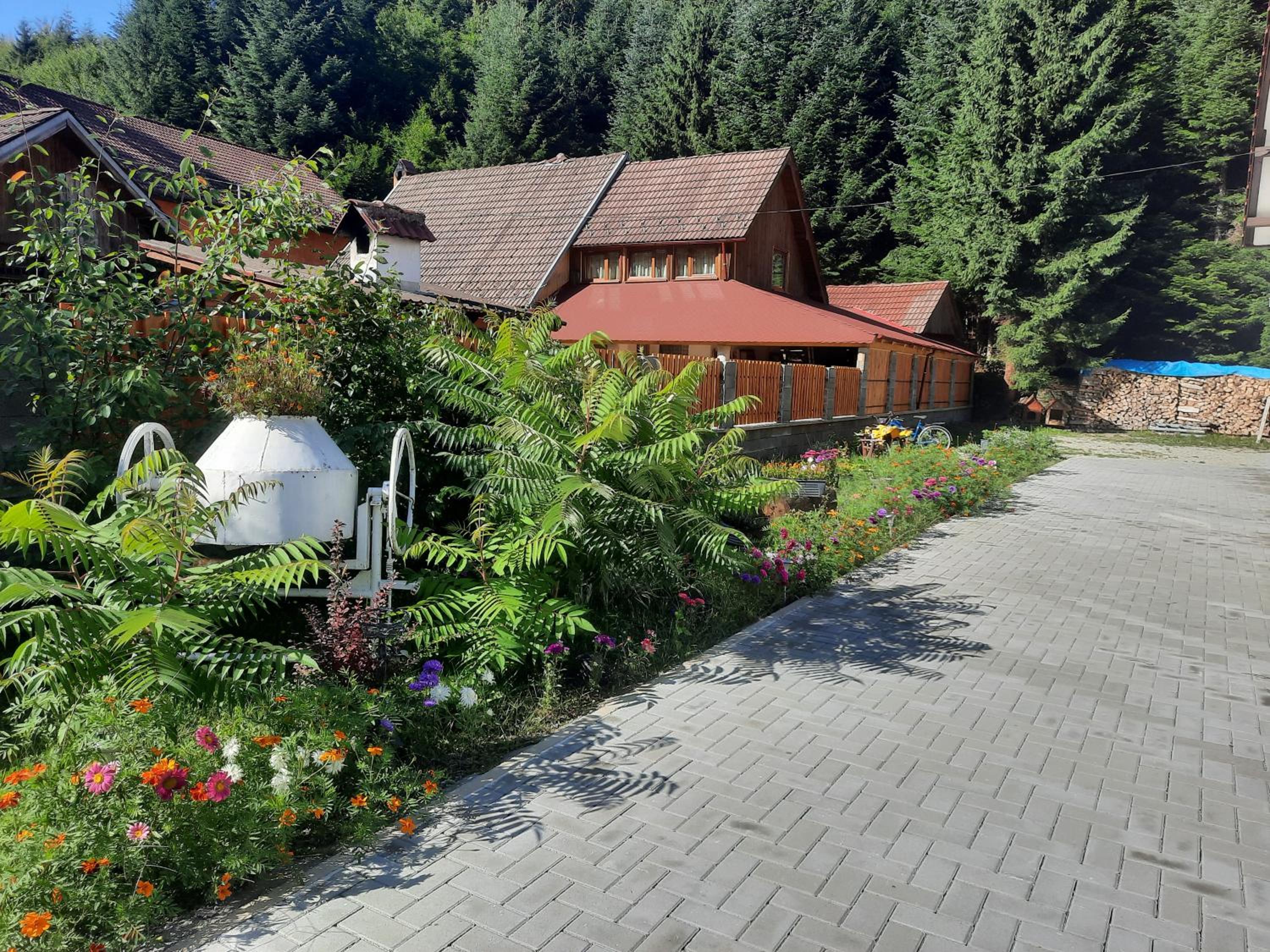 Photo 45