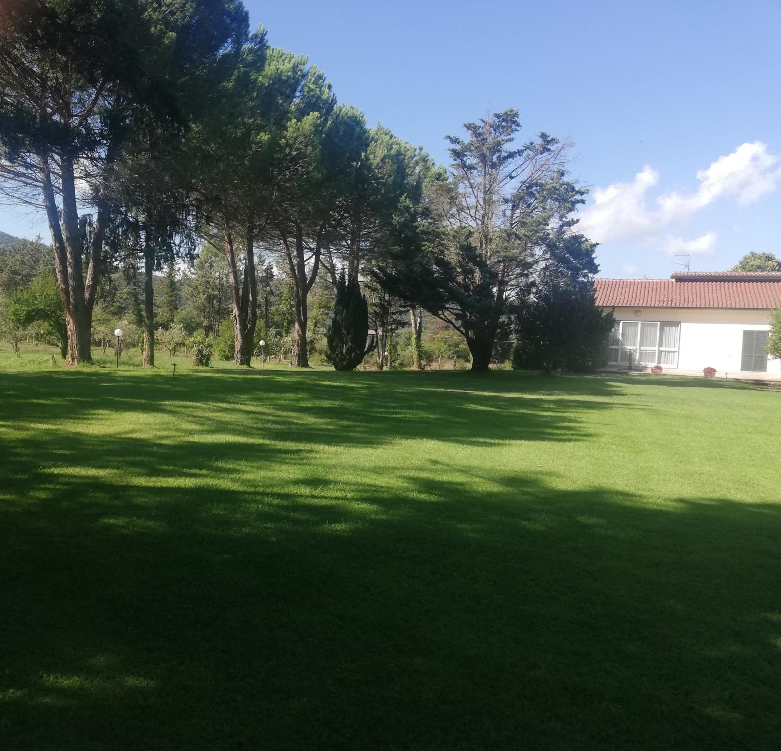 Photo 36