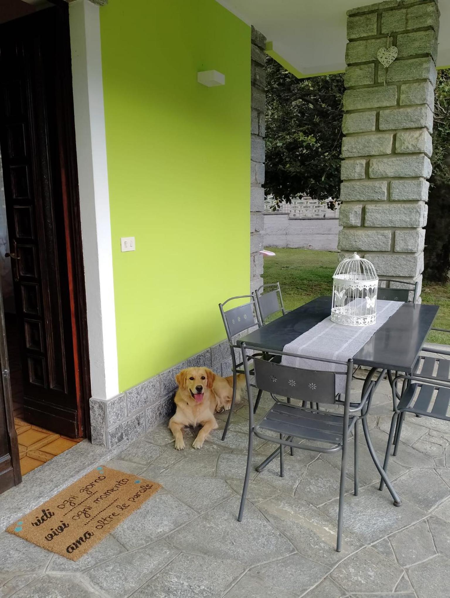 Il Faggio view 3
