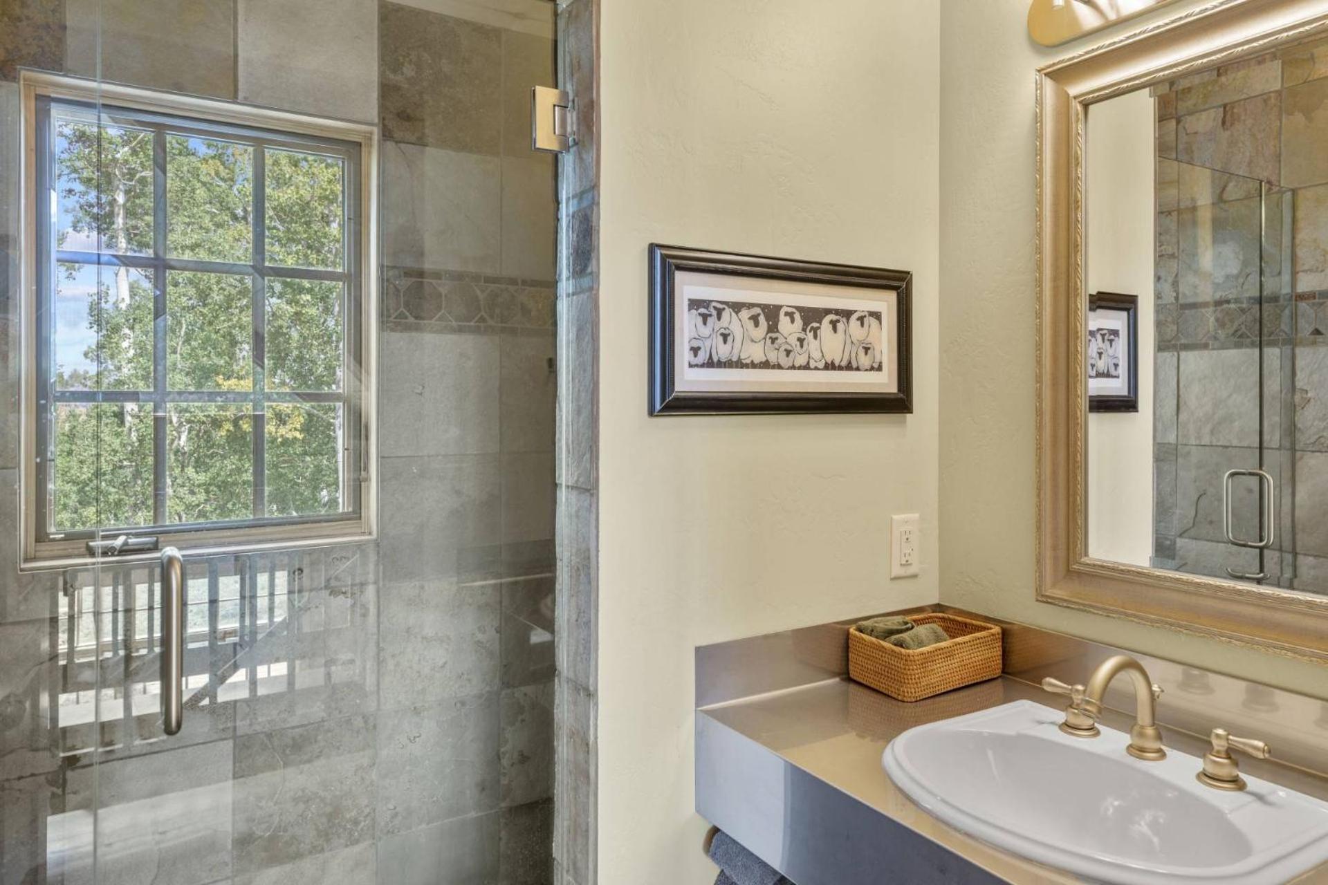Wilson Mesa, Marshall Trail 378 ~ Posey Meadow Ranch @ Wilson Mesa view 4