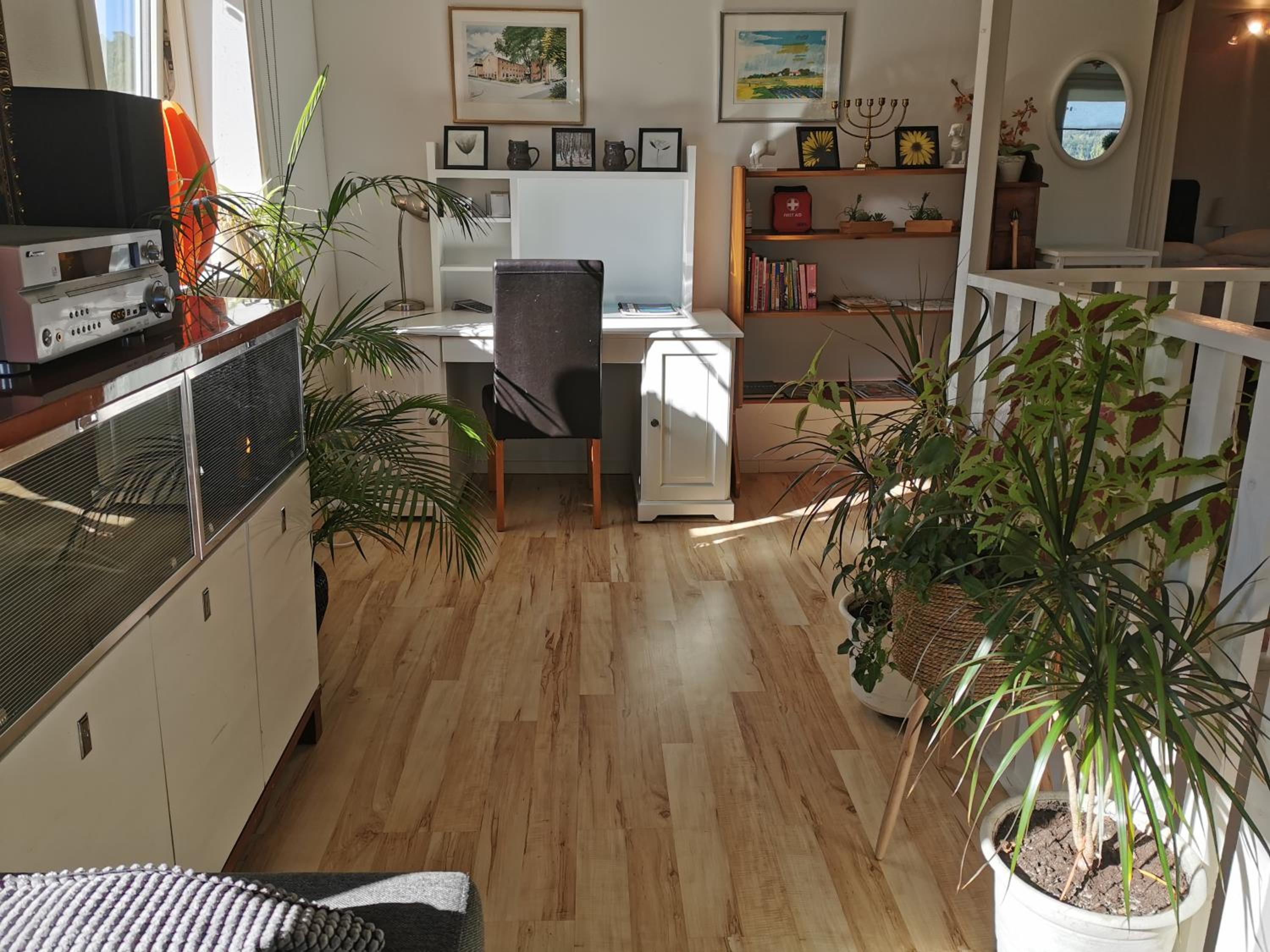 Photo 14