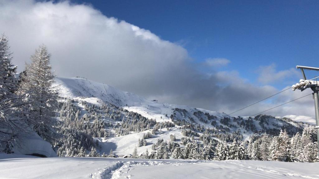 Turrach Chalet Haus Dachs