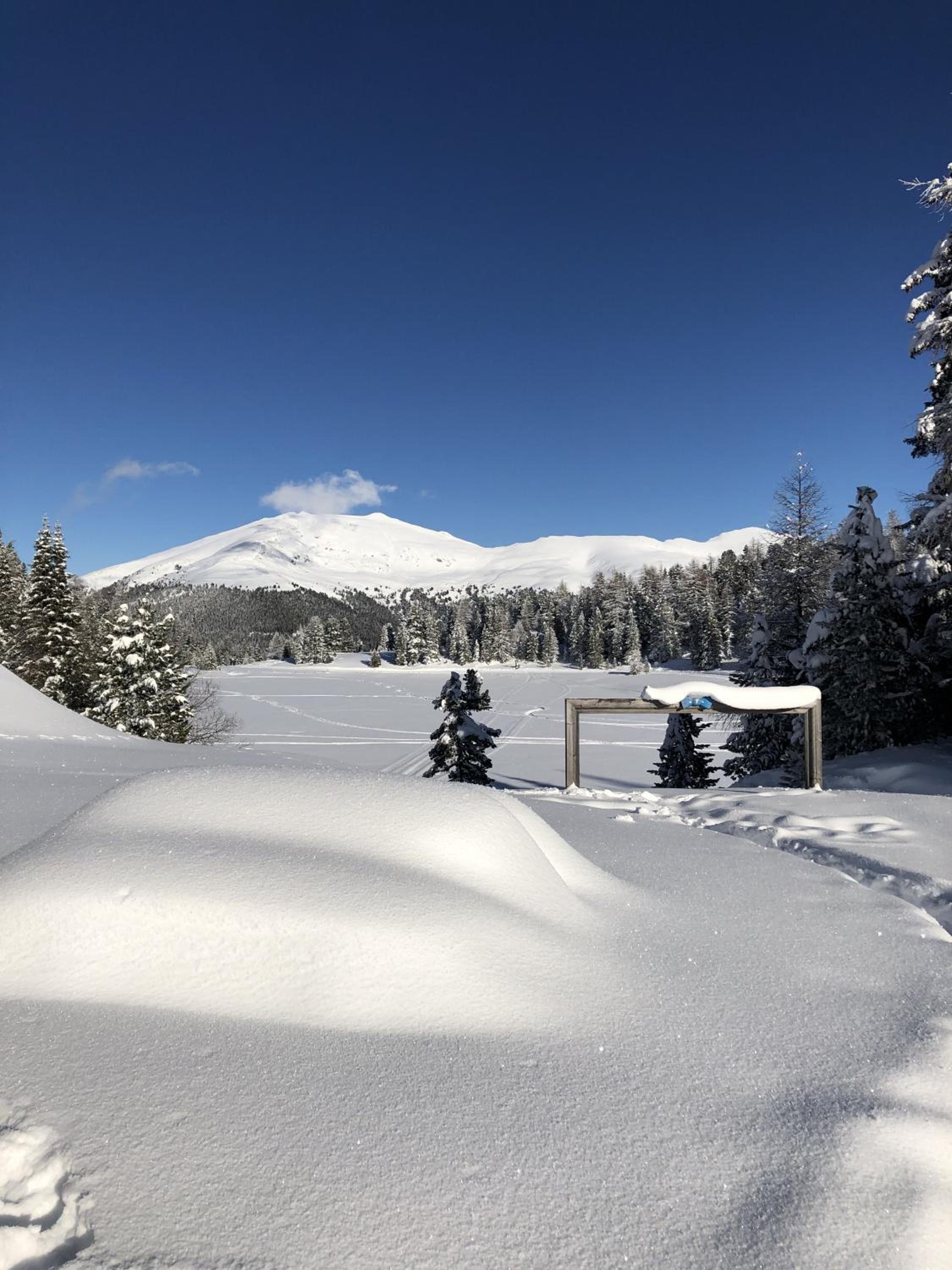 Turrach Chalet Haus Dachs