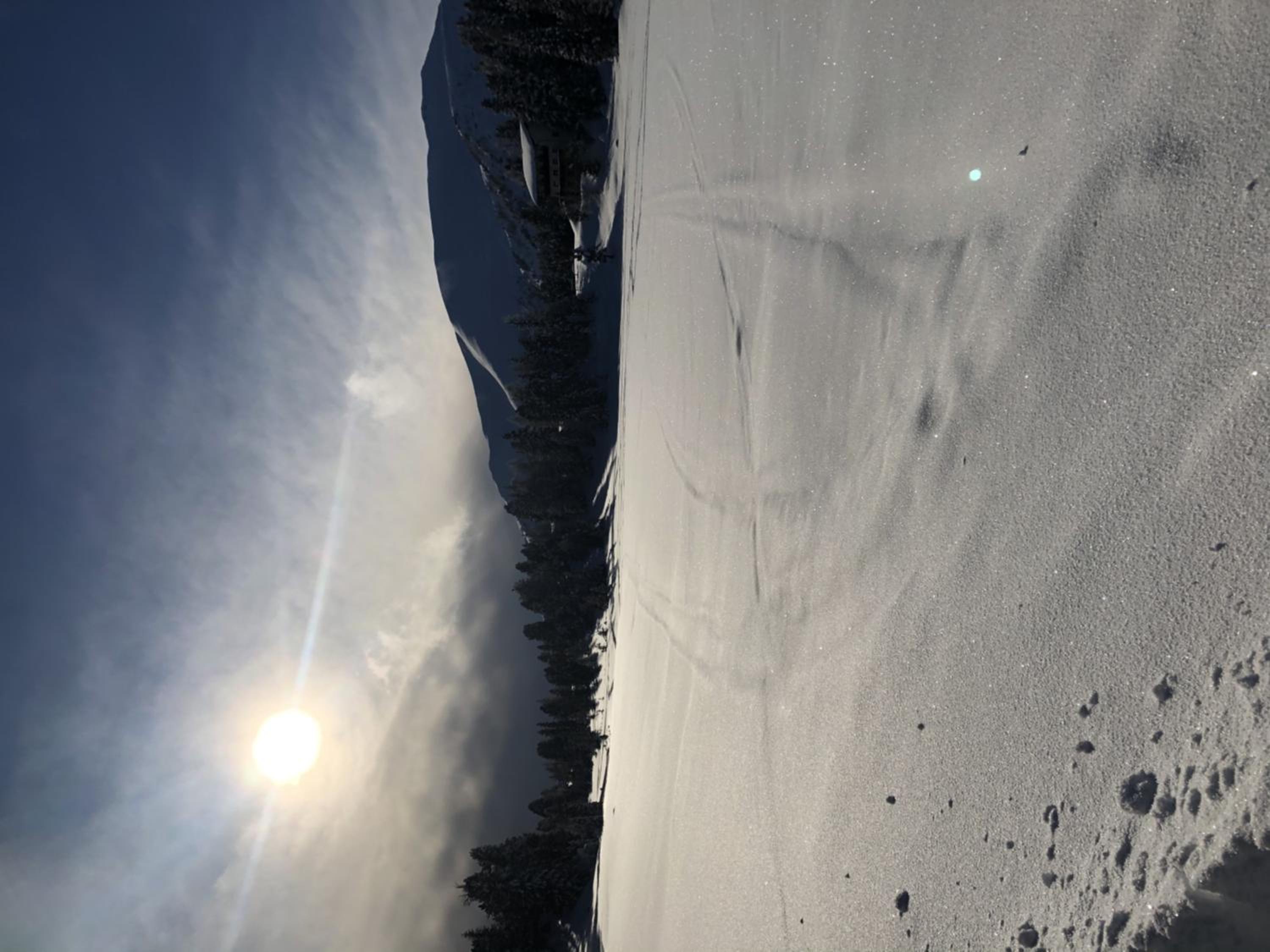Turrach Chalet Haus Dachs