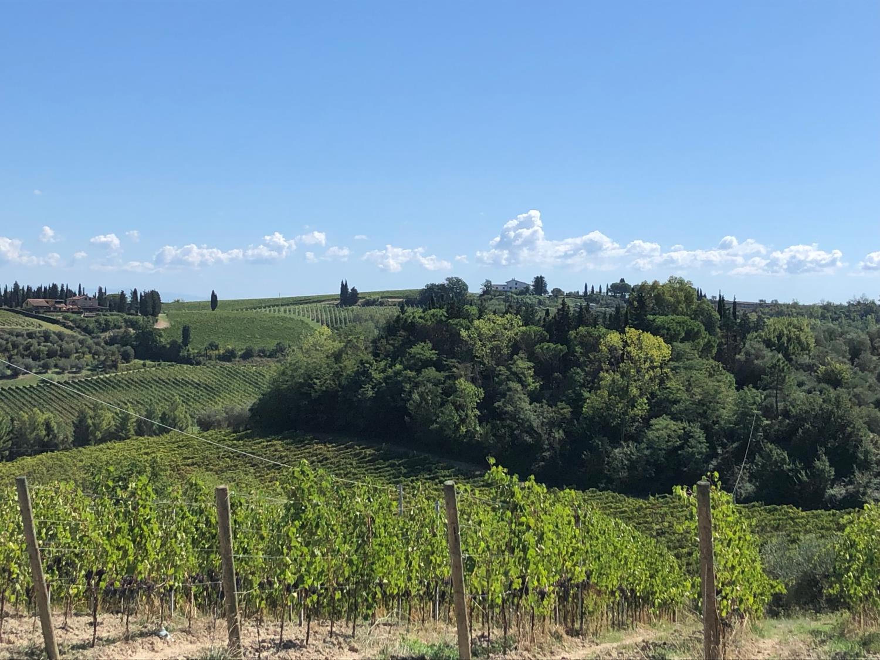 Casale il Fontanellino - country house near Florence