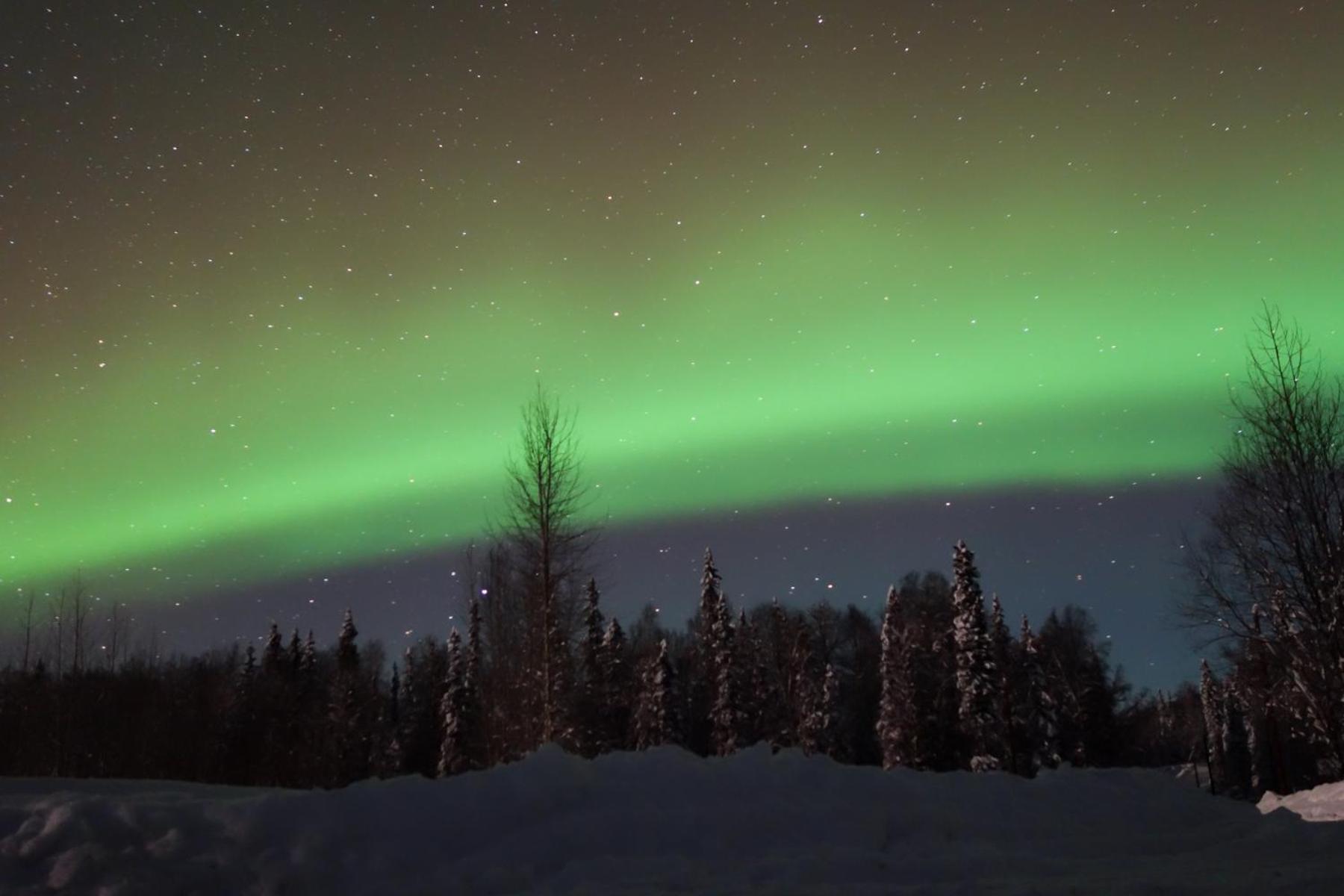 Backwoods Cabins at Susitna River Lodge view 4