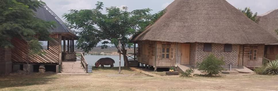 Tembo Safari Lodge
