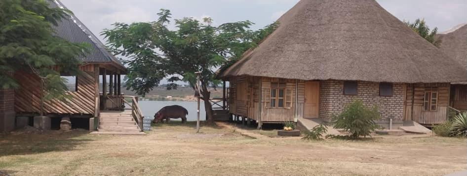 Tembo Safari Lodge