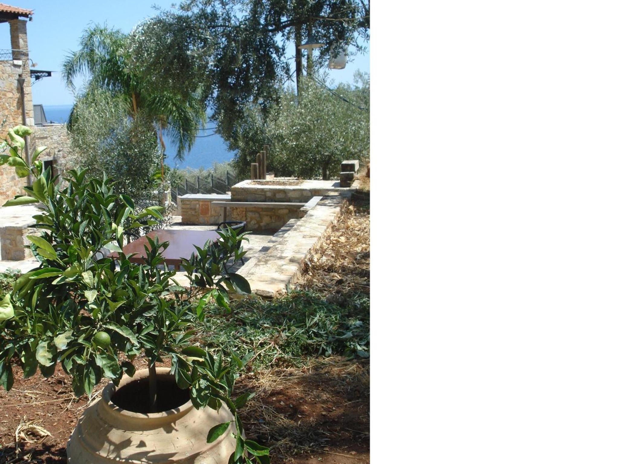 Athina EcoFarm