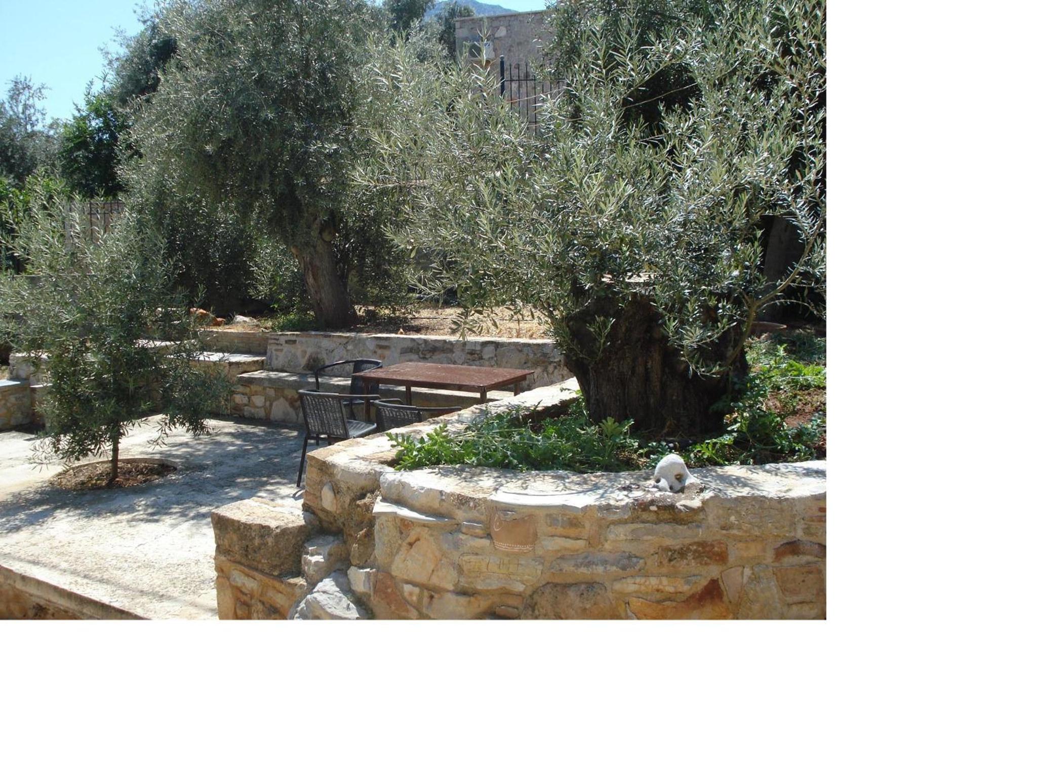 Athina EcoFarm
