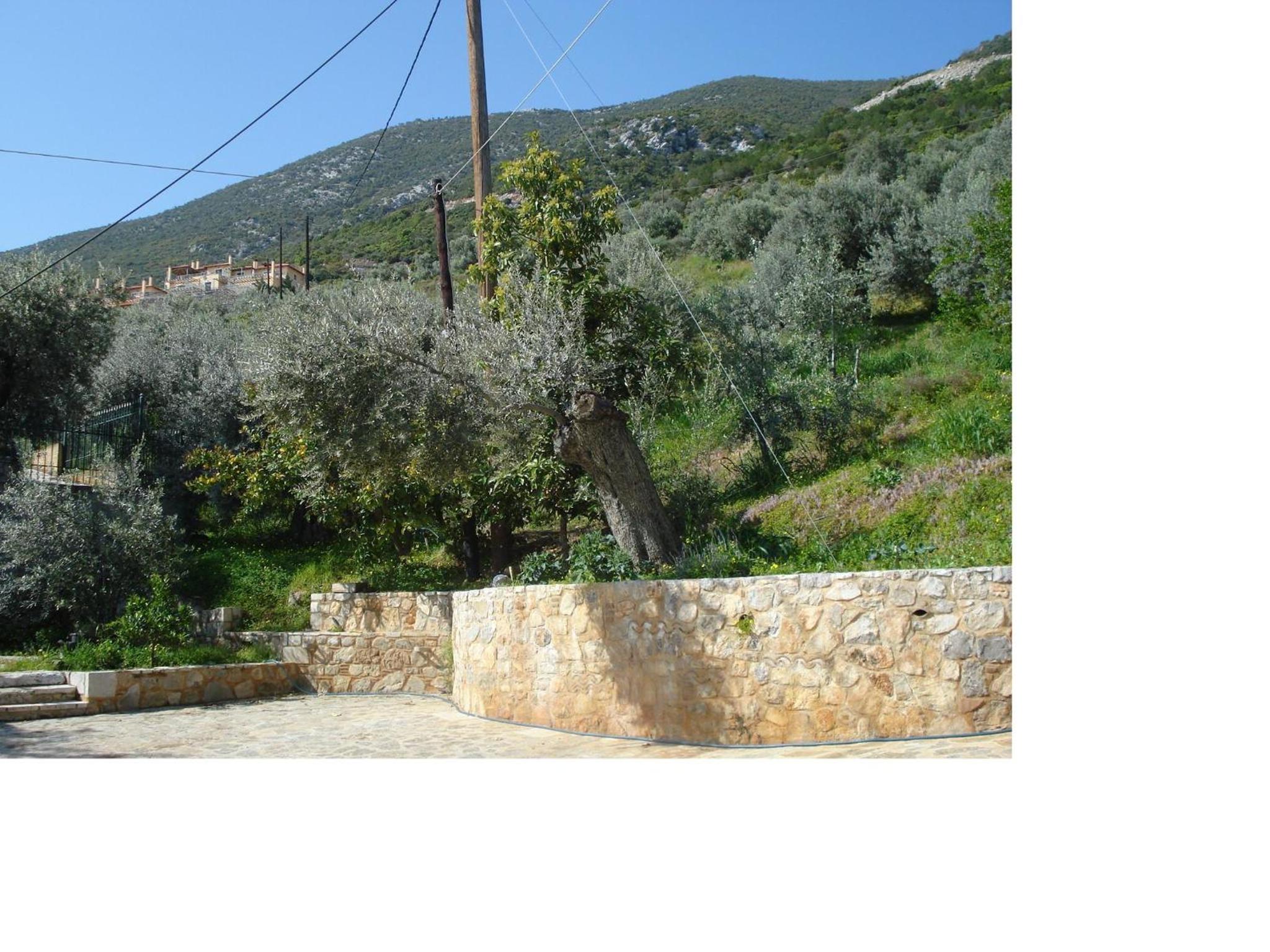 Athina EcoFarm