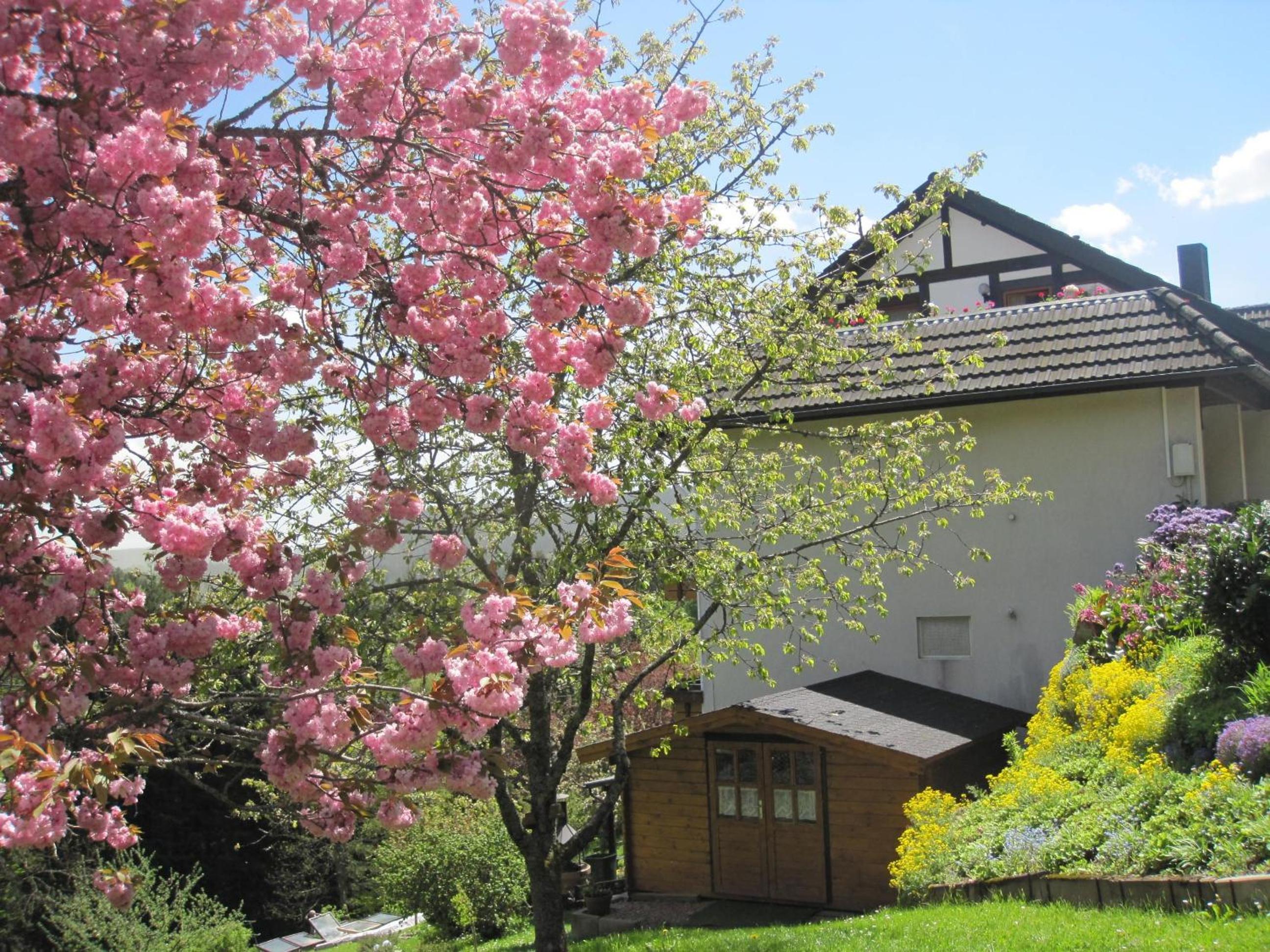 Pension Hildegund