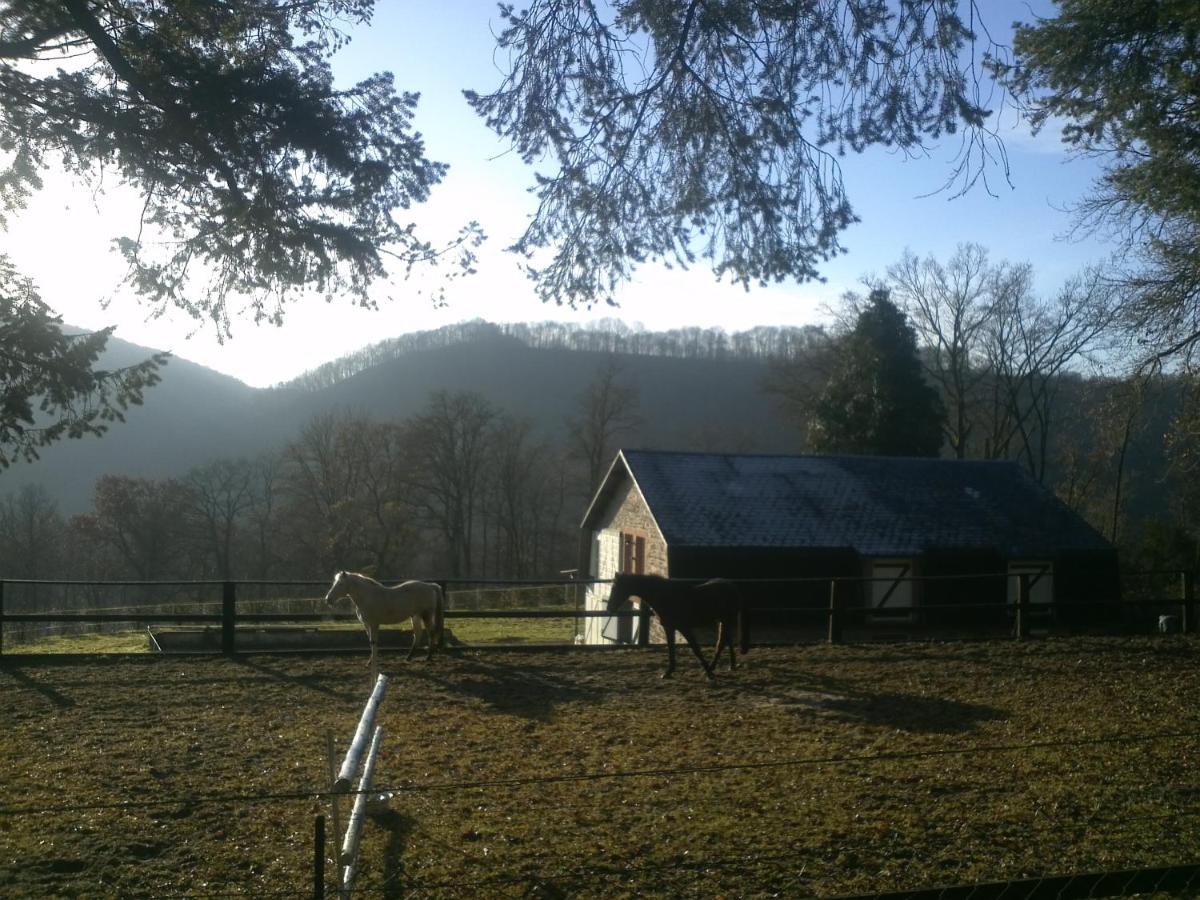 Cocoon Cottage