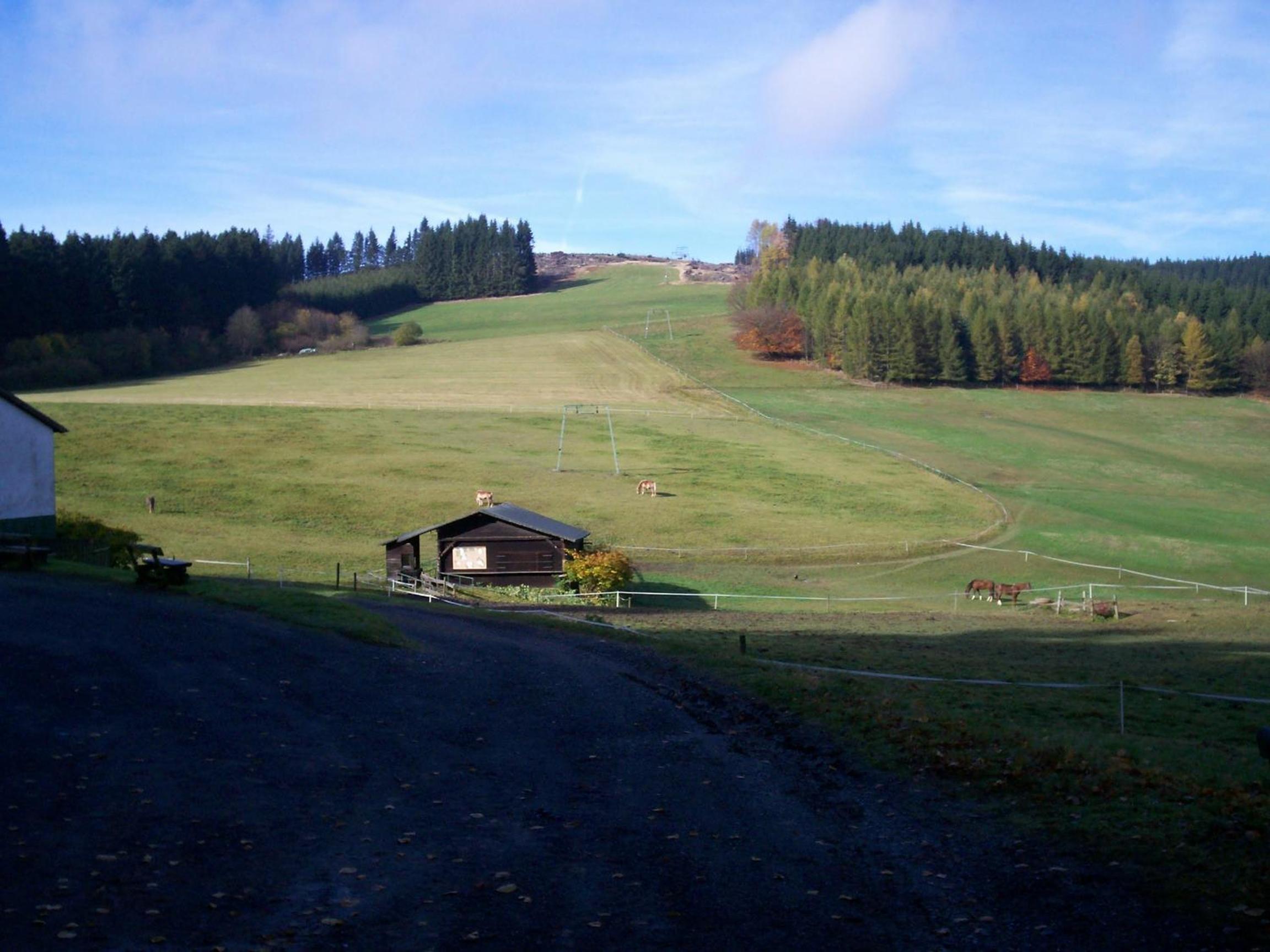 Photo 25