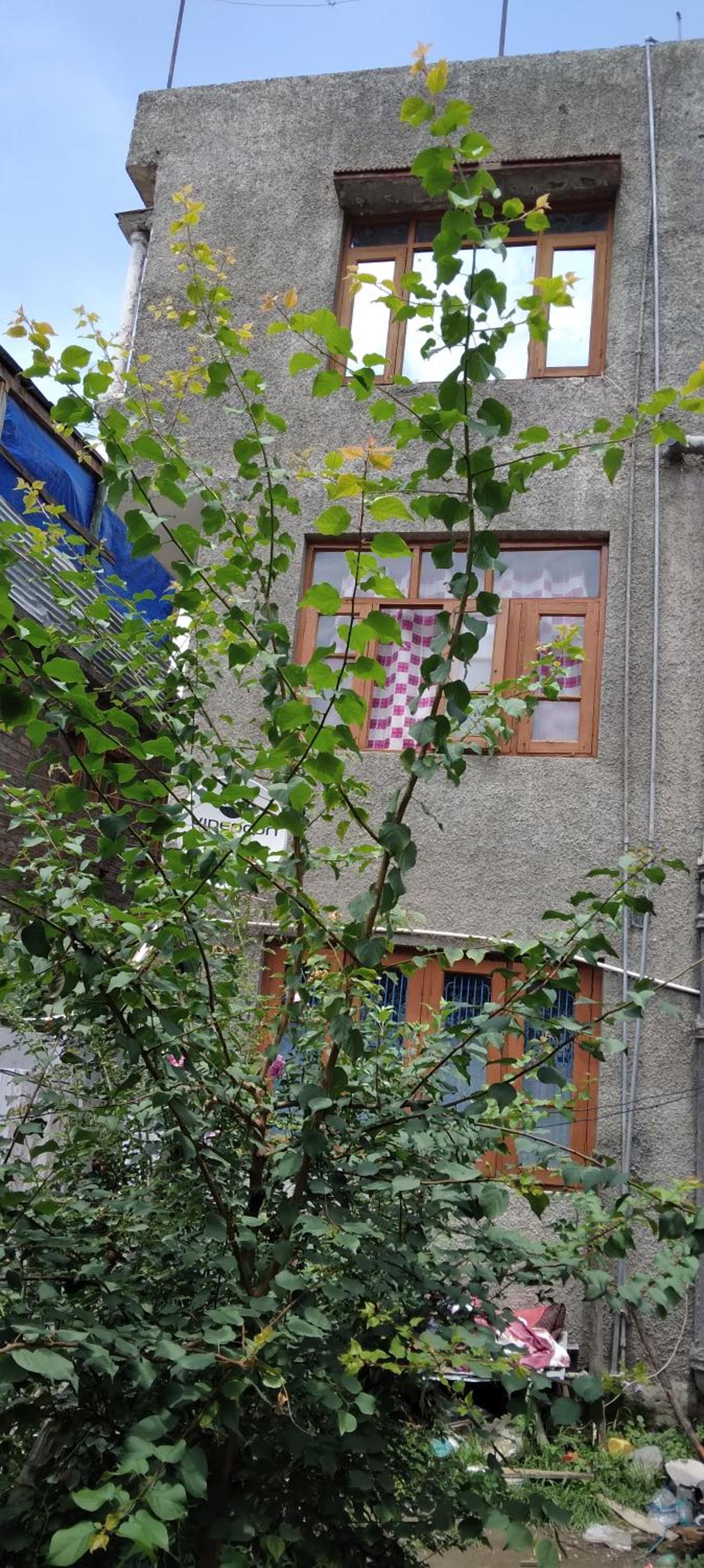Photo 23