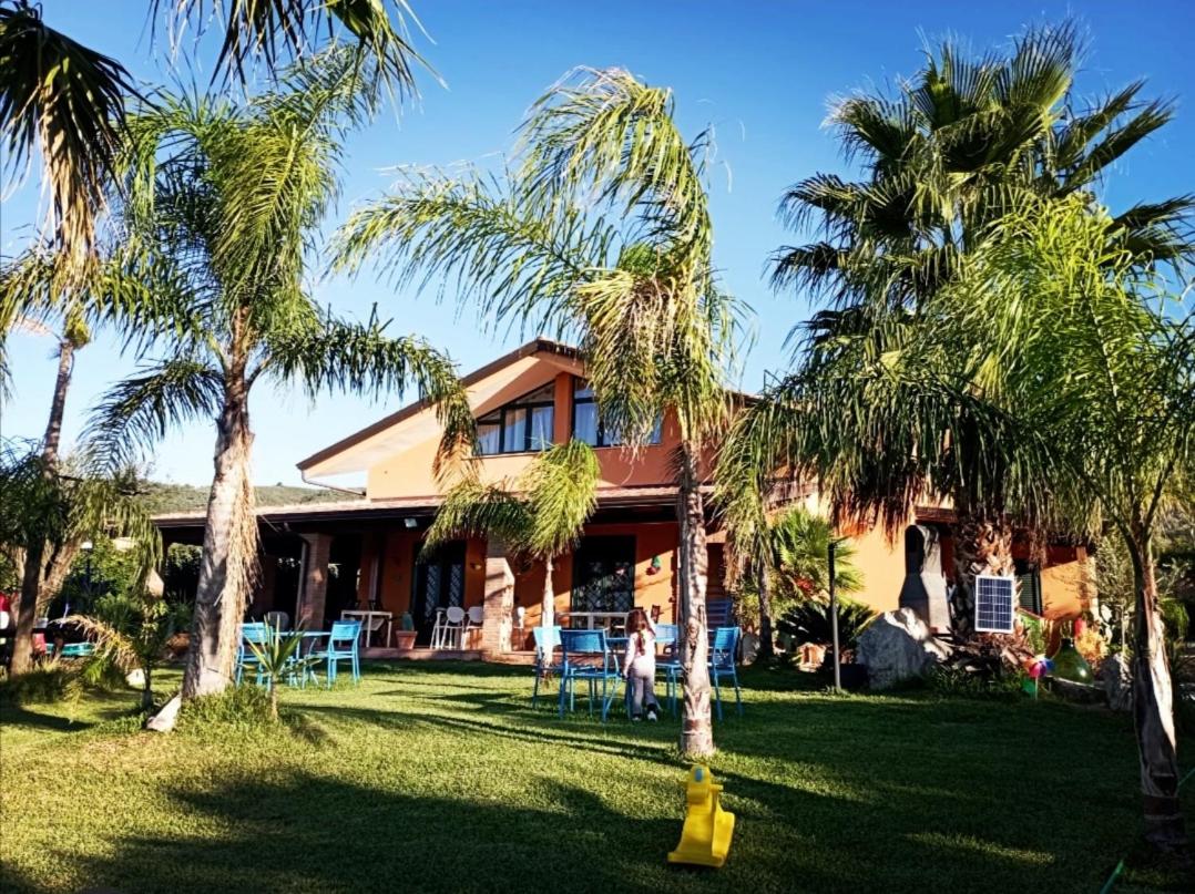 Photo 21