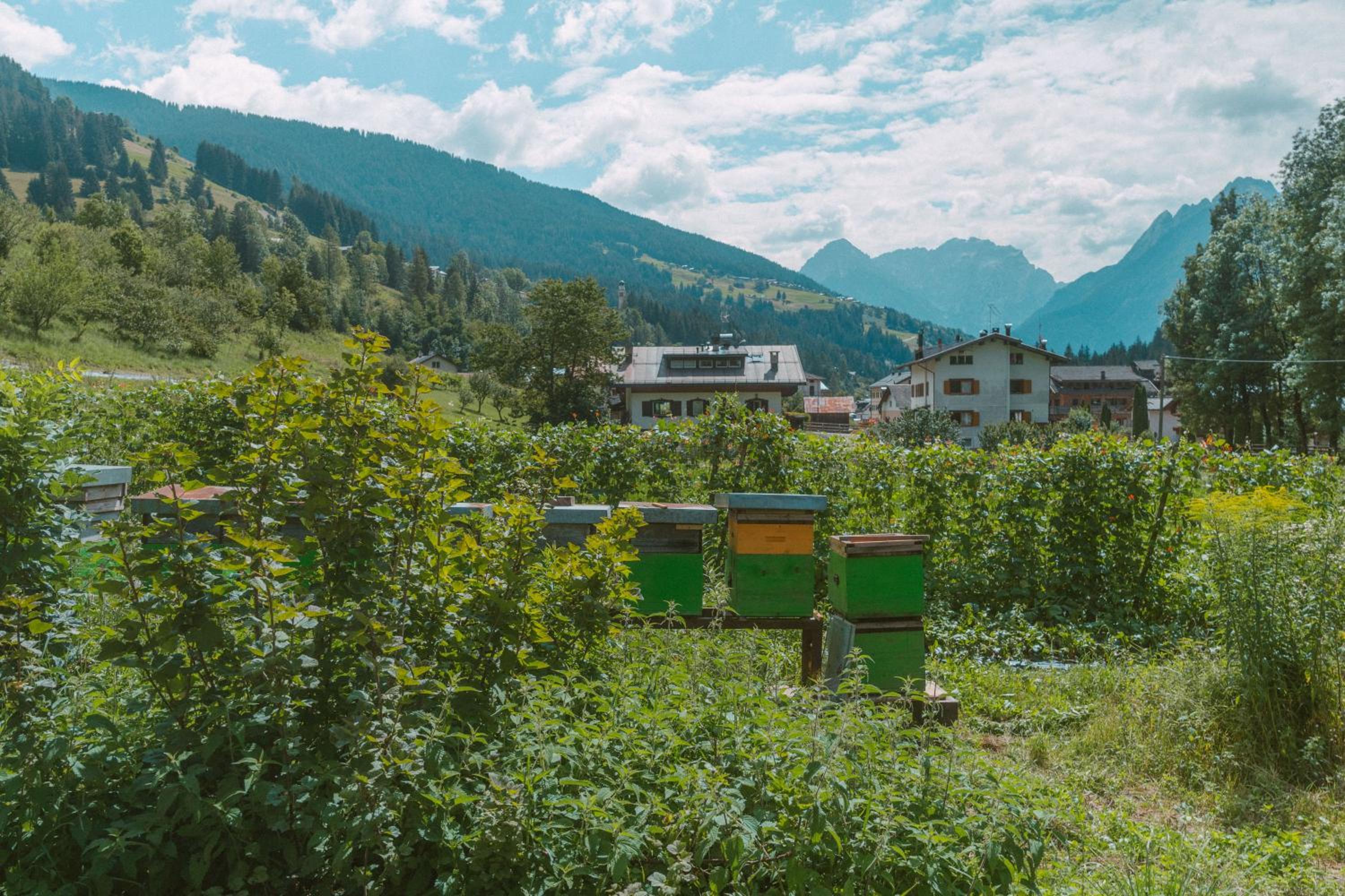 Lärchenwirt Dolomites