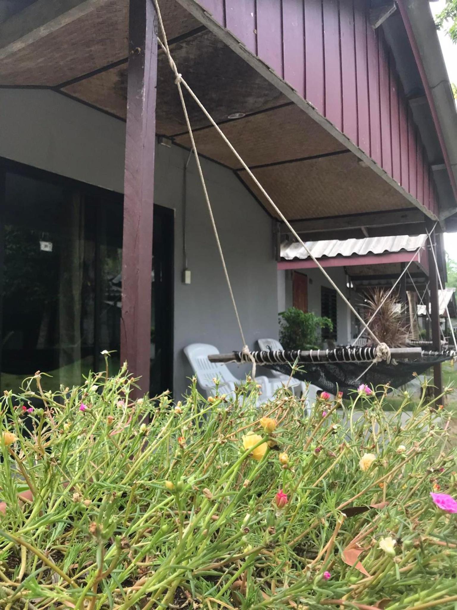 The Cosy Koh Phangan and Restaurant