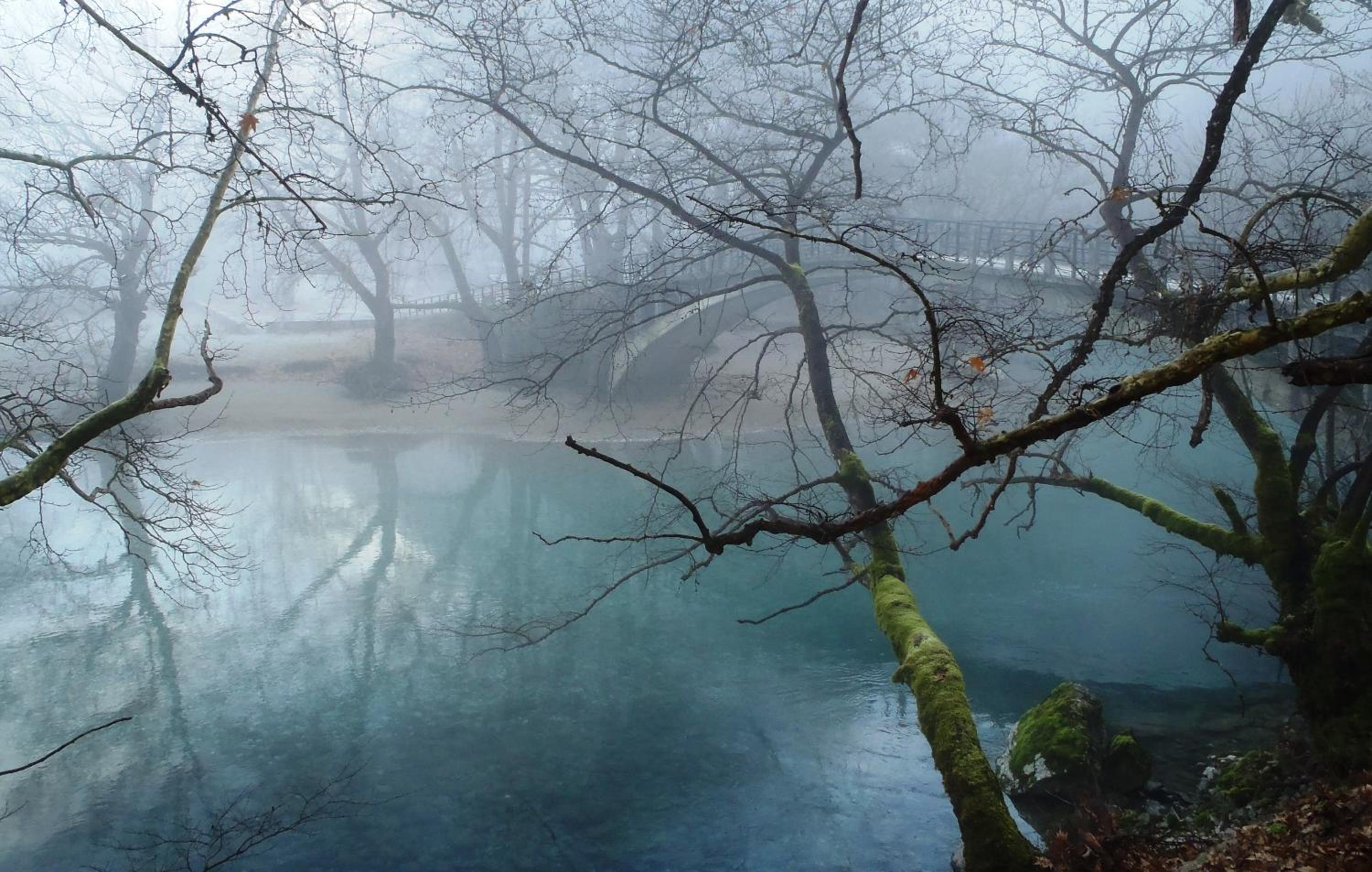 KATIKIA ZAGORI