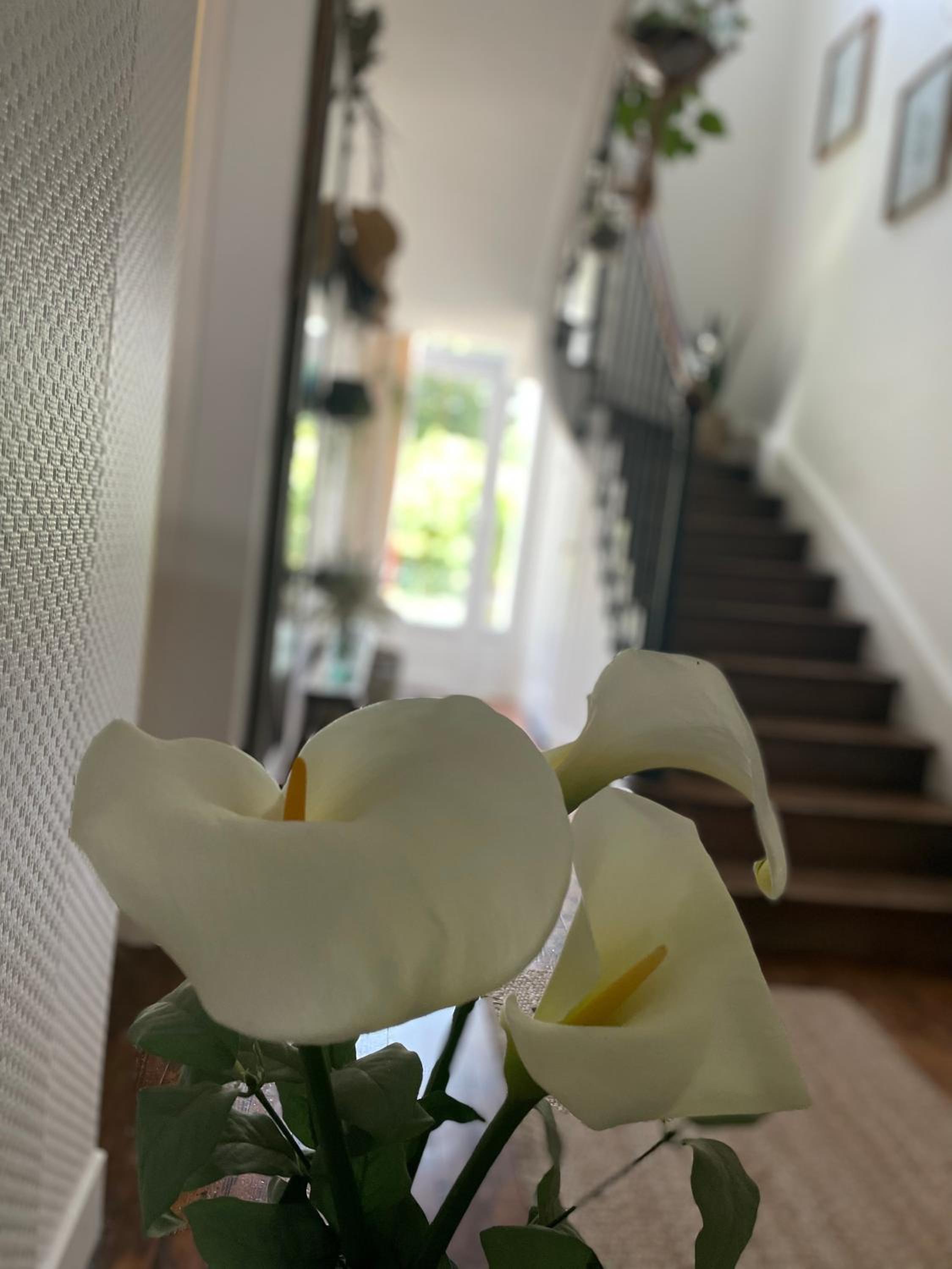 Villa des Roses view 5