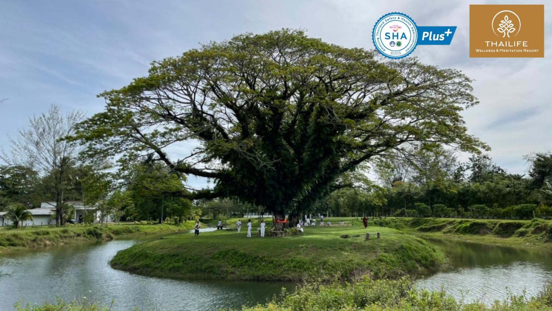 ThaiLife Wellness & Meditation Resort- SHA Plus