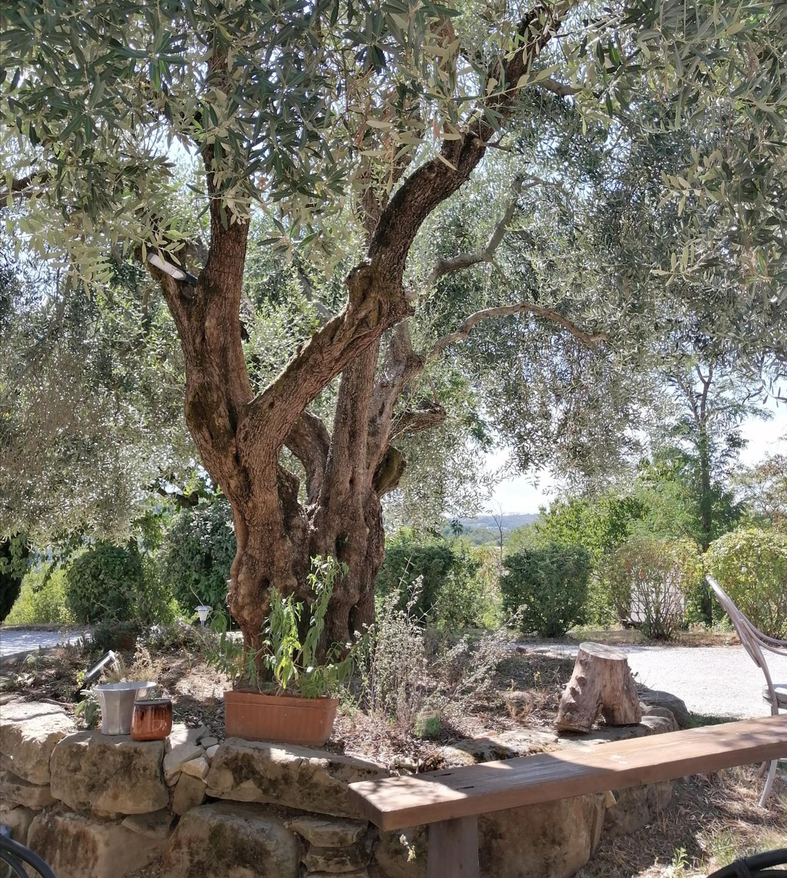 Photo 26