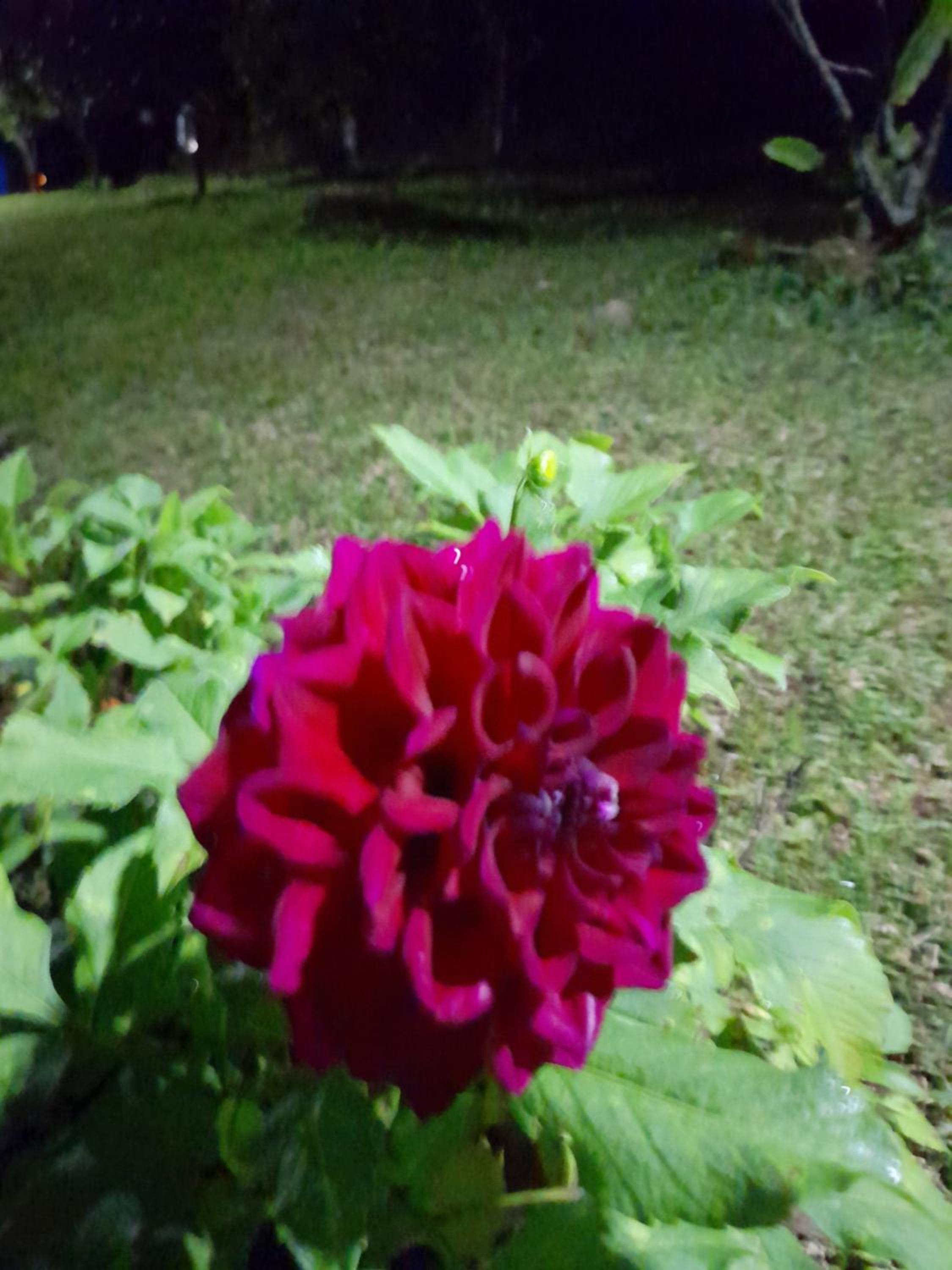 other