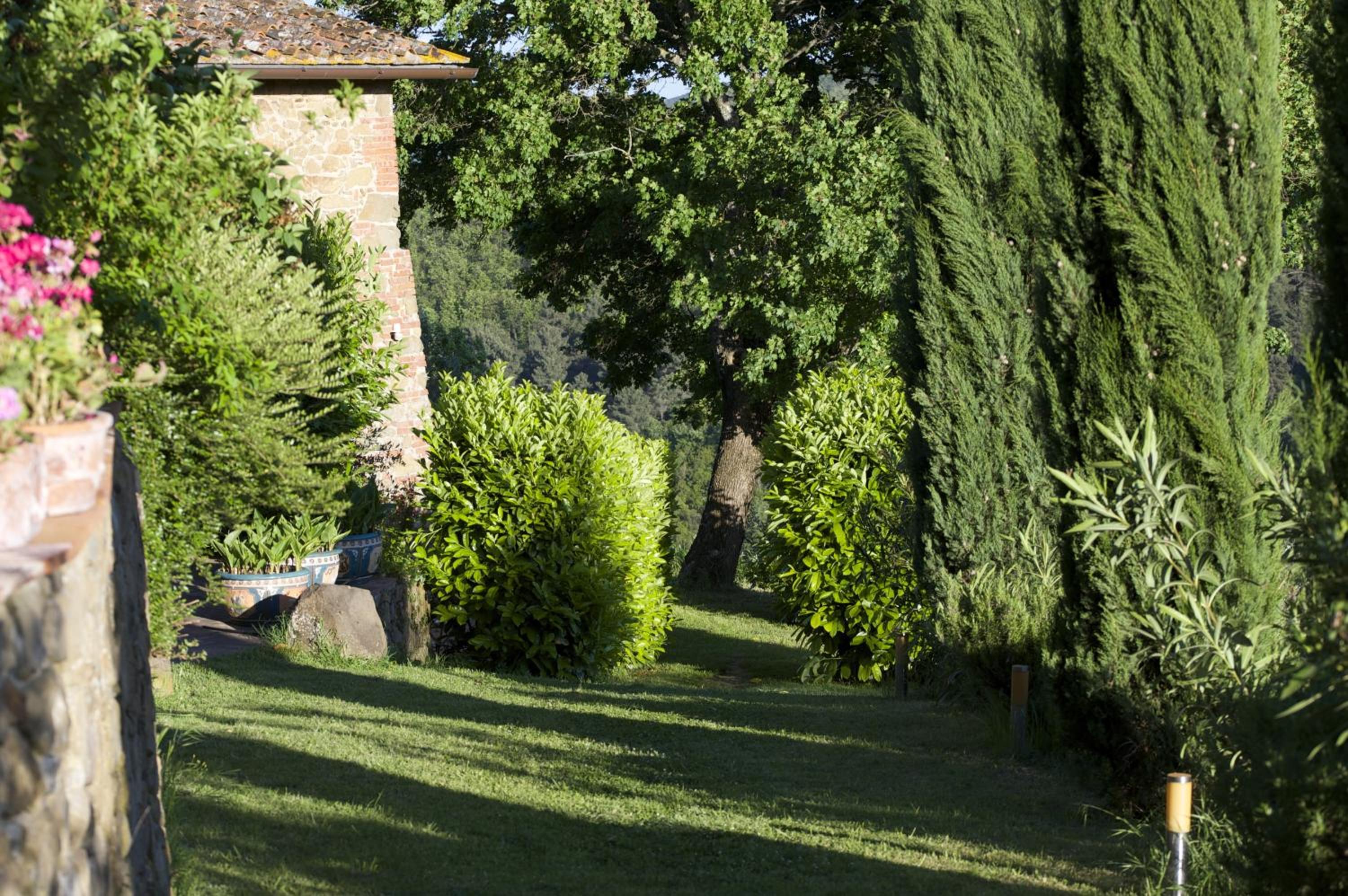 Ventena Vecchia antico frantoio