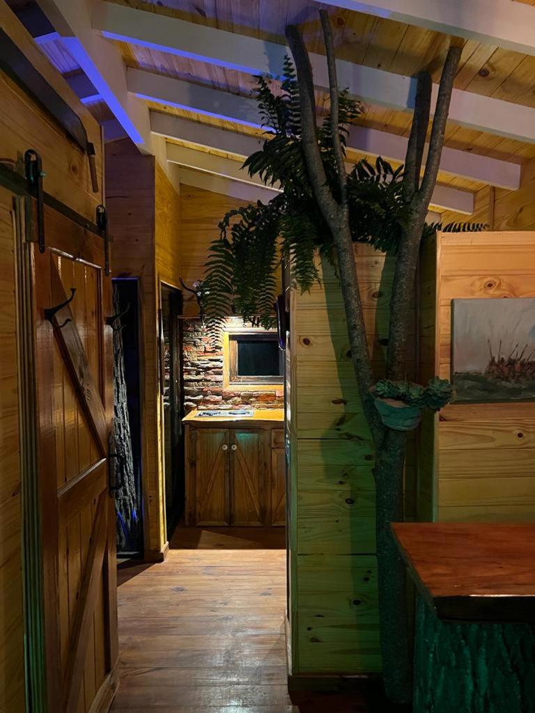 La Casa Del Arbol con pileta privada