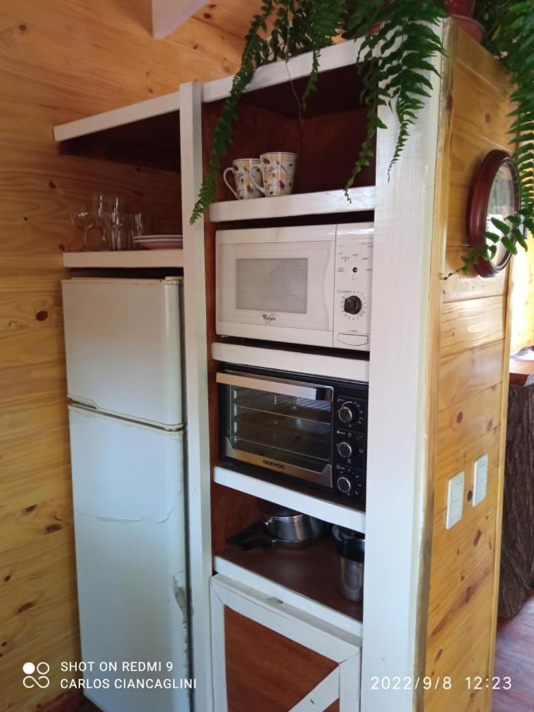 La Casa Del Arbol con pileta privada