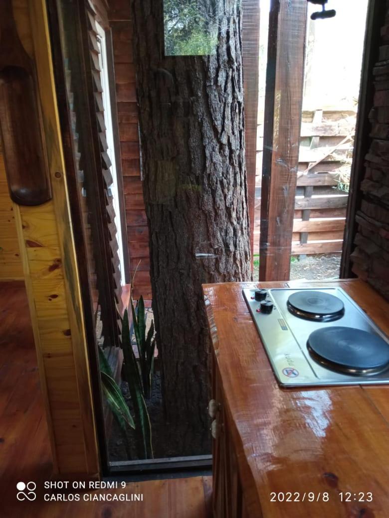 La Casa Del Arbol con pileta privada