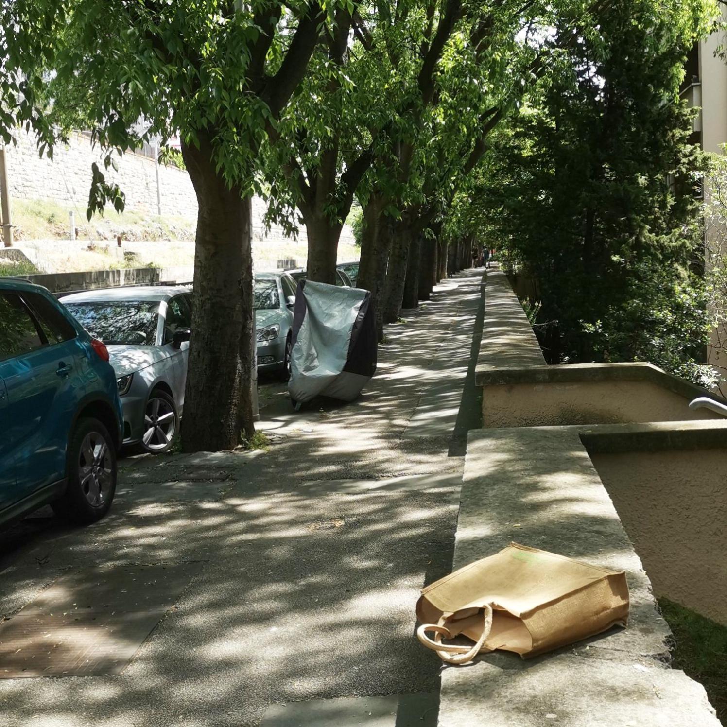 APARTAMENTO FLAVIA — photo 2