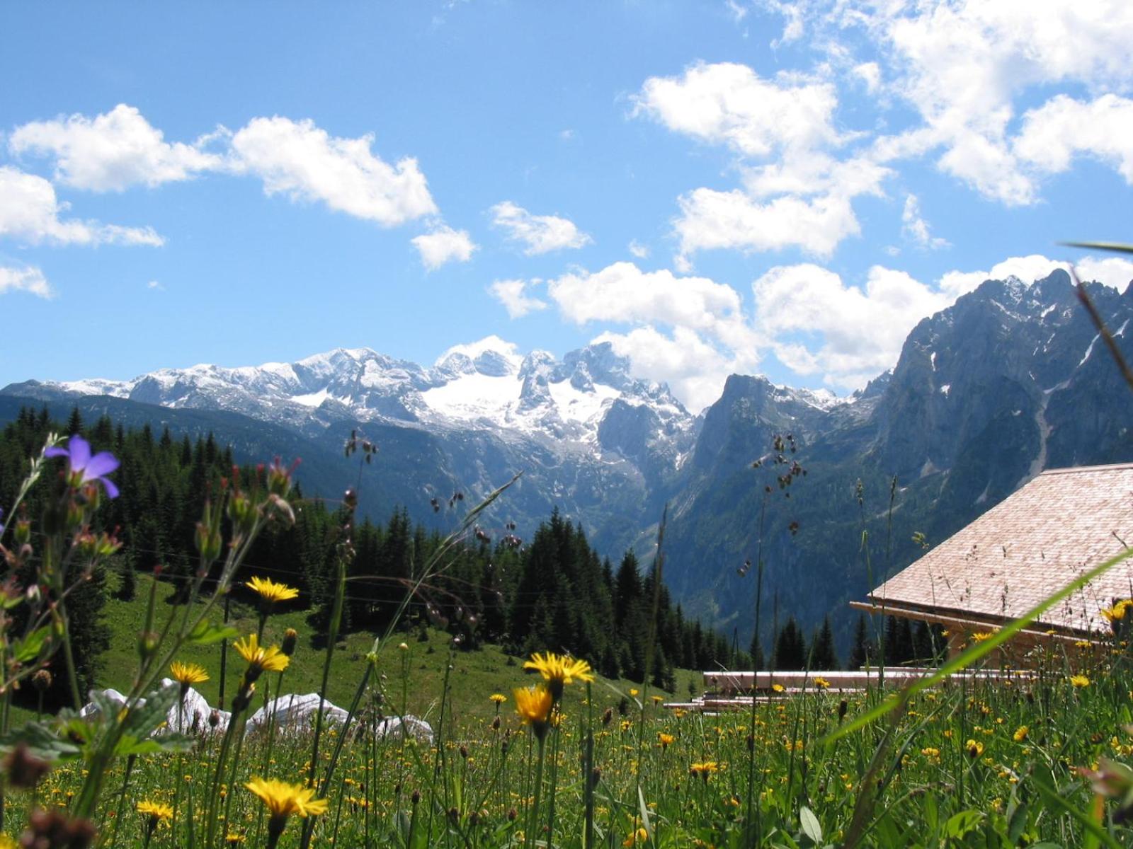 Landhaus Schwaighofer Dachstein West