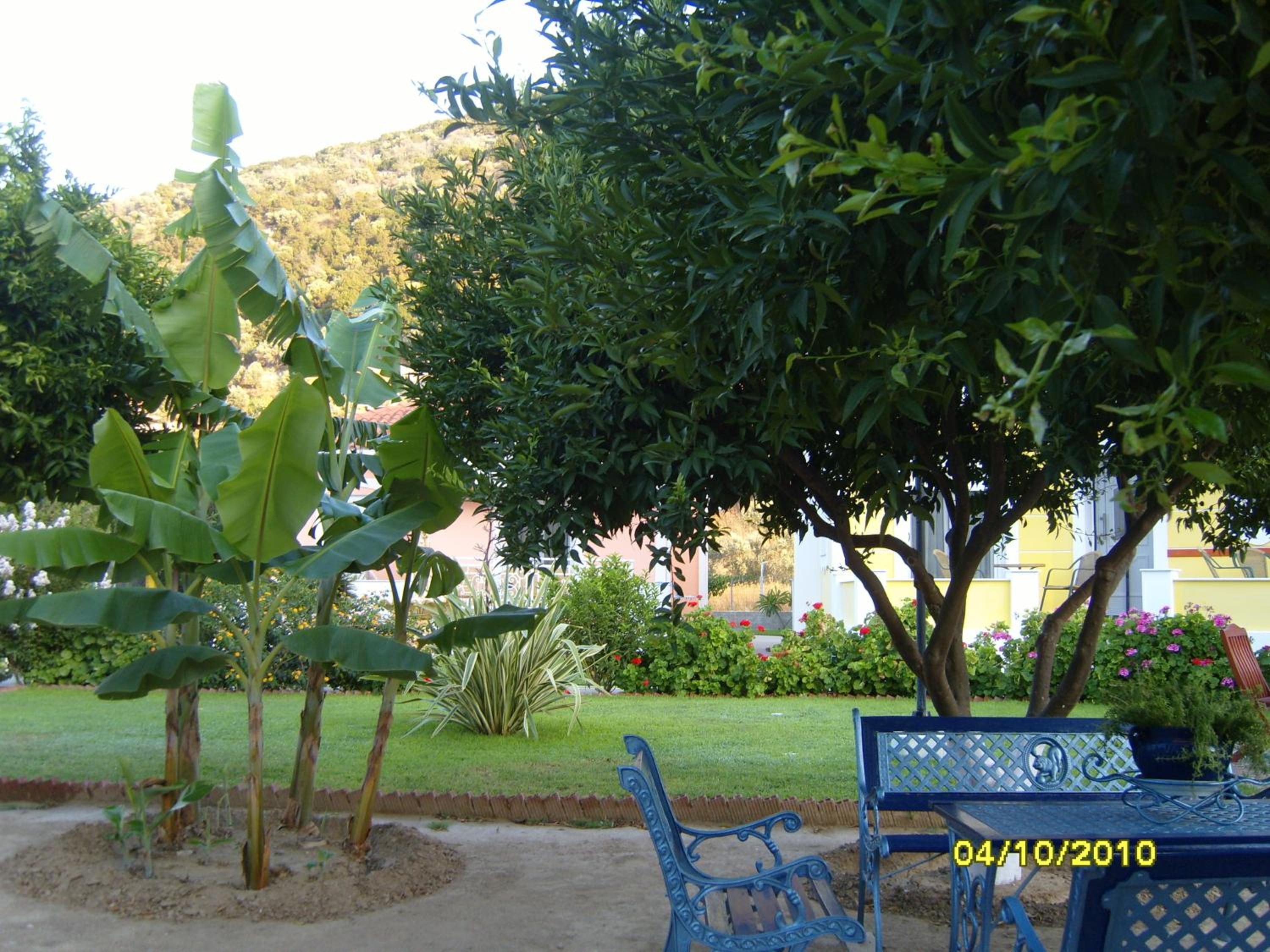Photo 23