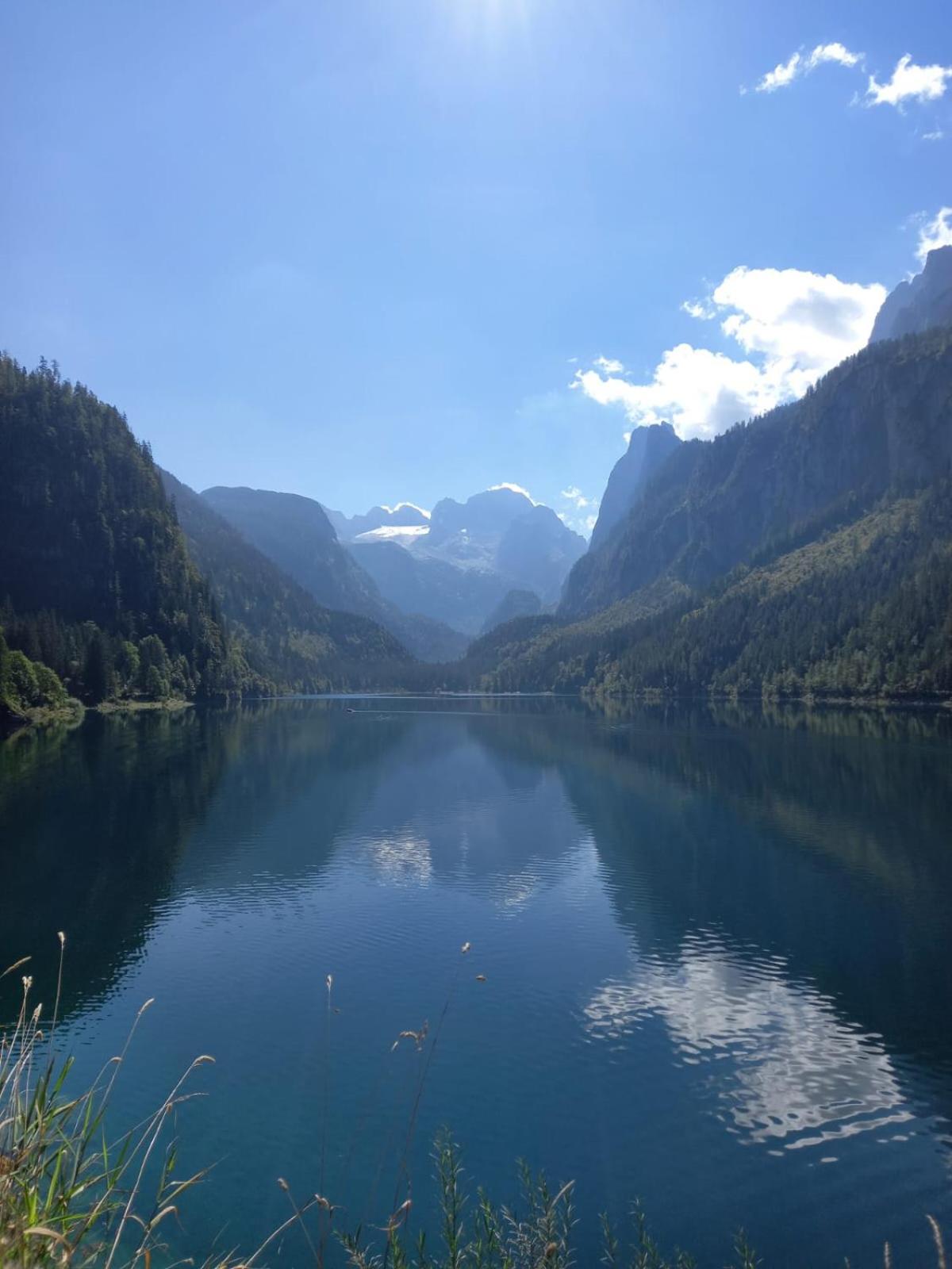 Landhaus Schwaighofer Dachstein West