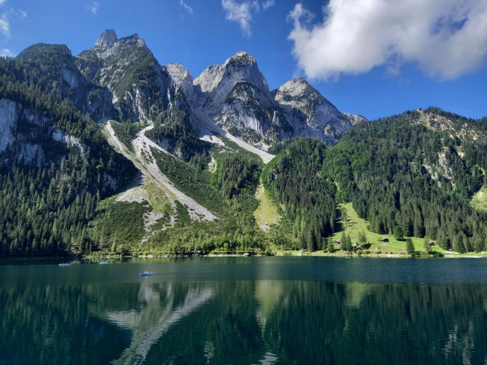 Landhaus Schwaighofer Dachstein West