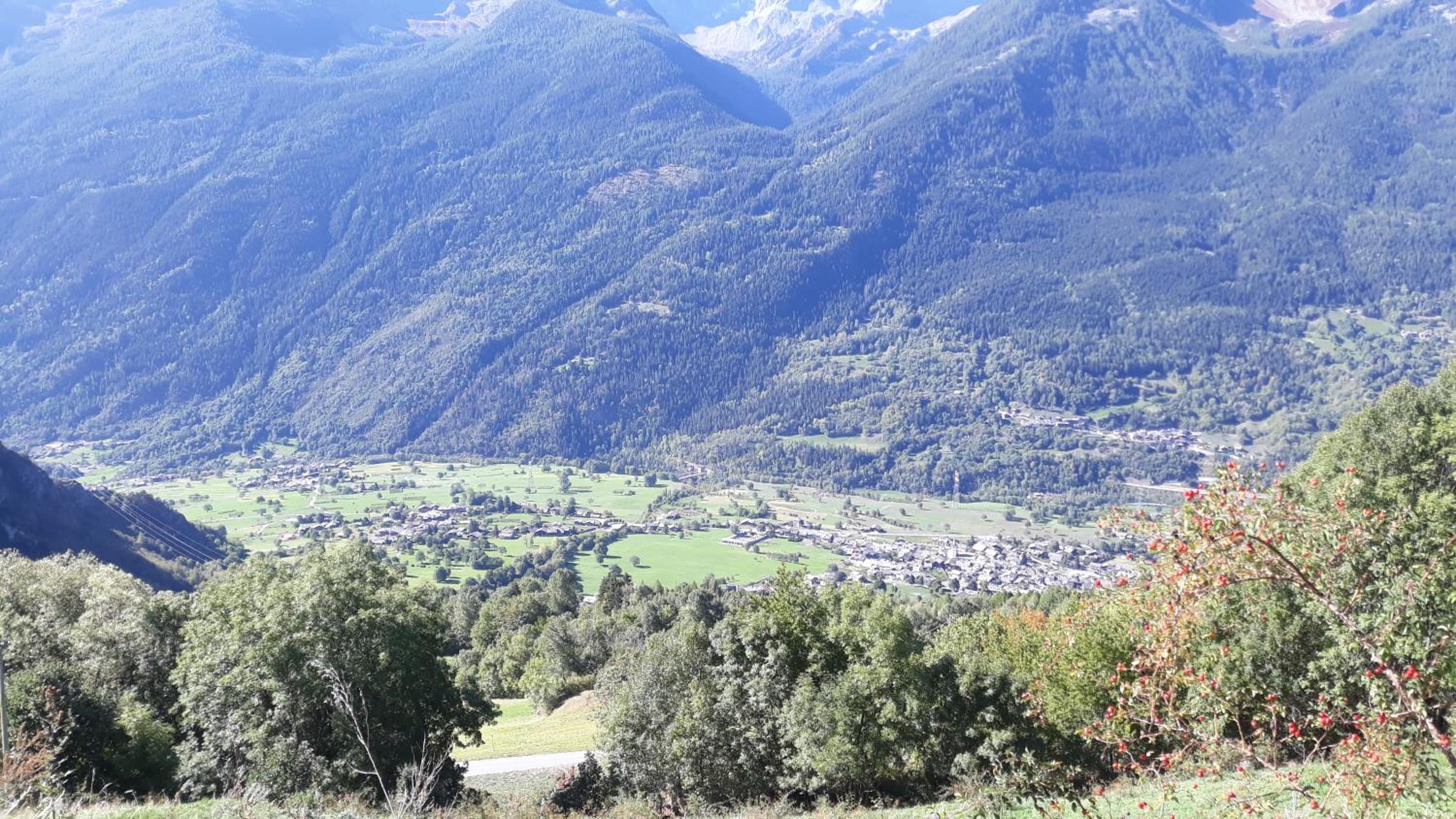 Casa per vacanze degli gnomi view 5