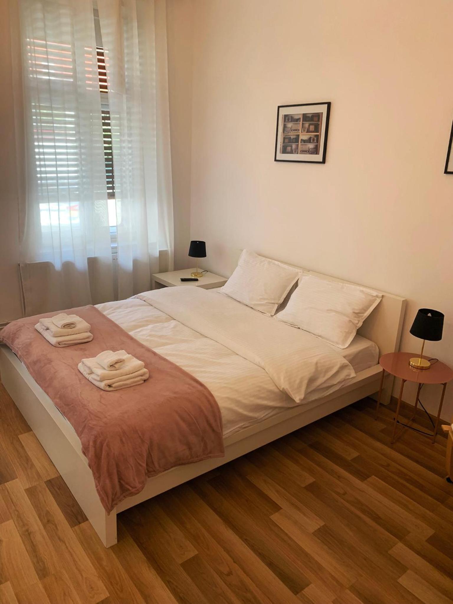Apartament Plopilor Studios view 4