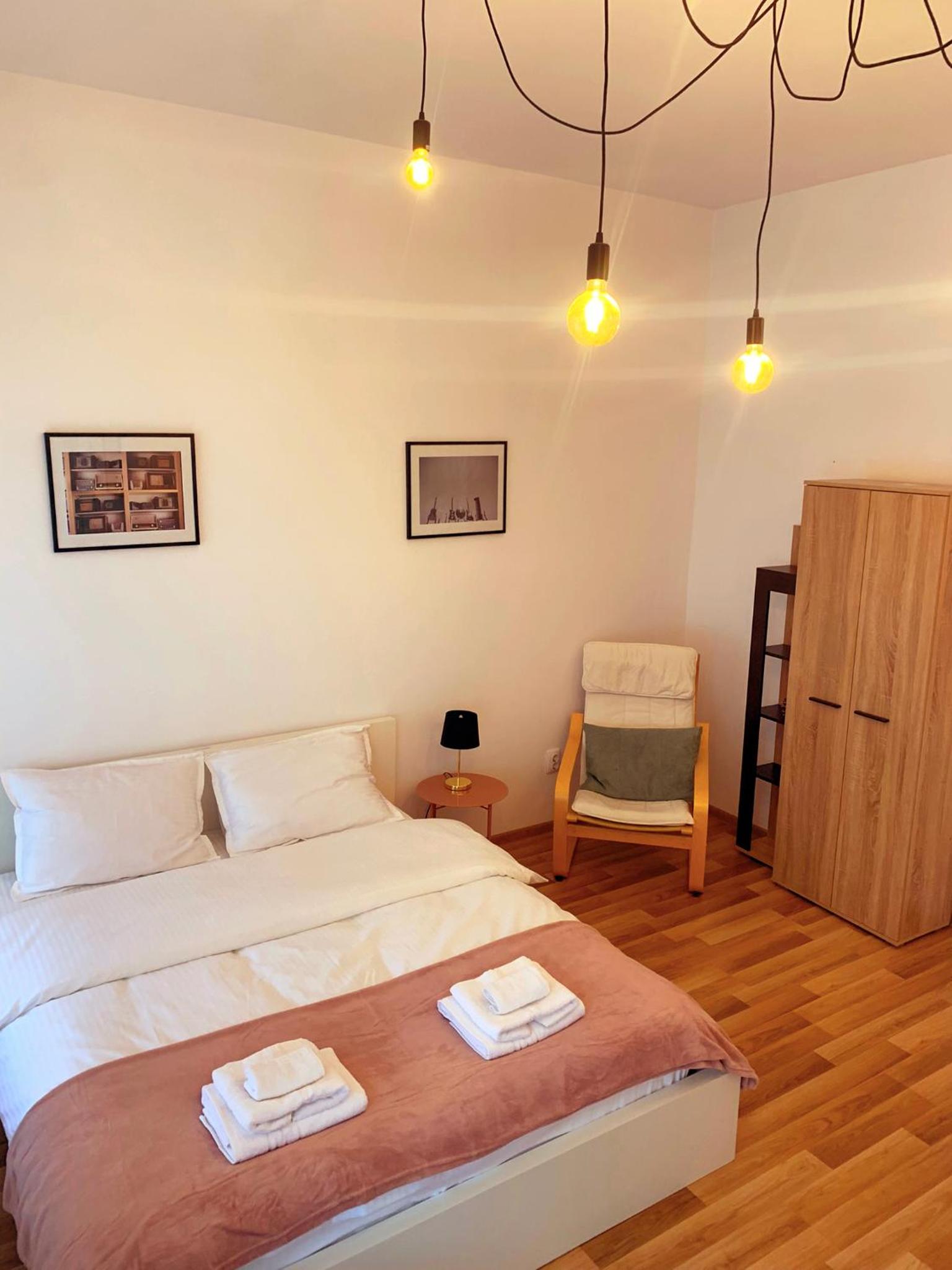 Apartament Plopilor Studios view 3