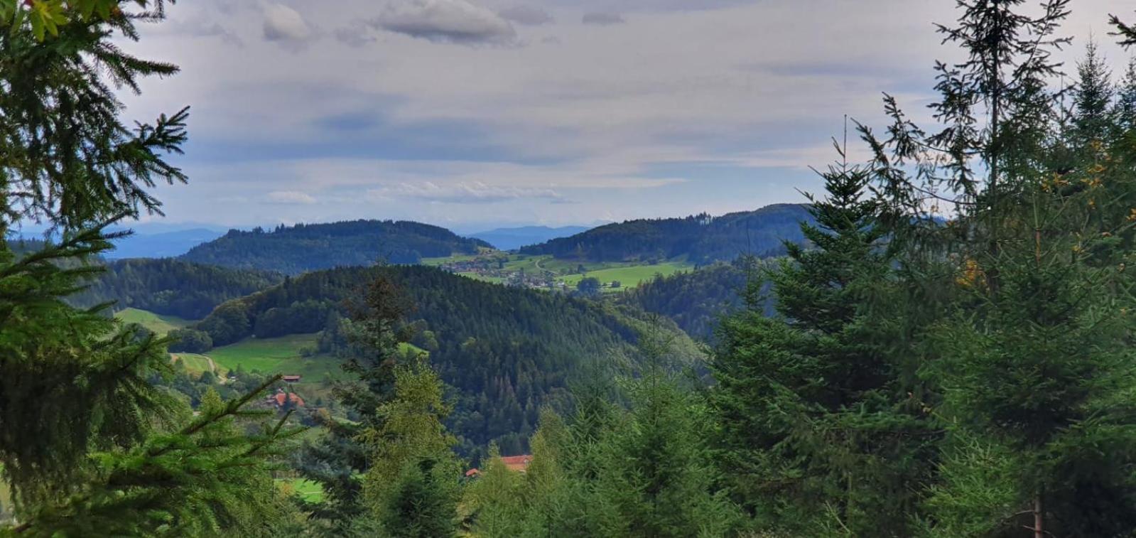 Wohnung im Schwarzwald mit Panorama Blick