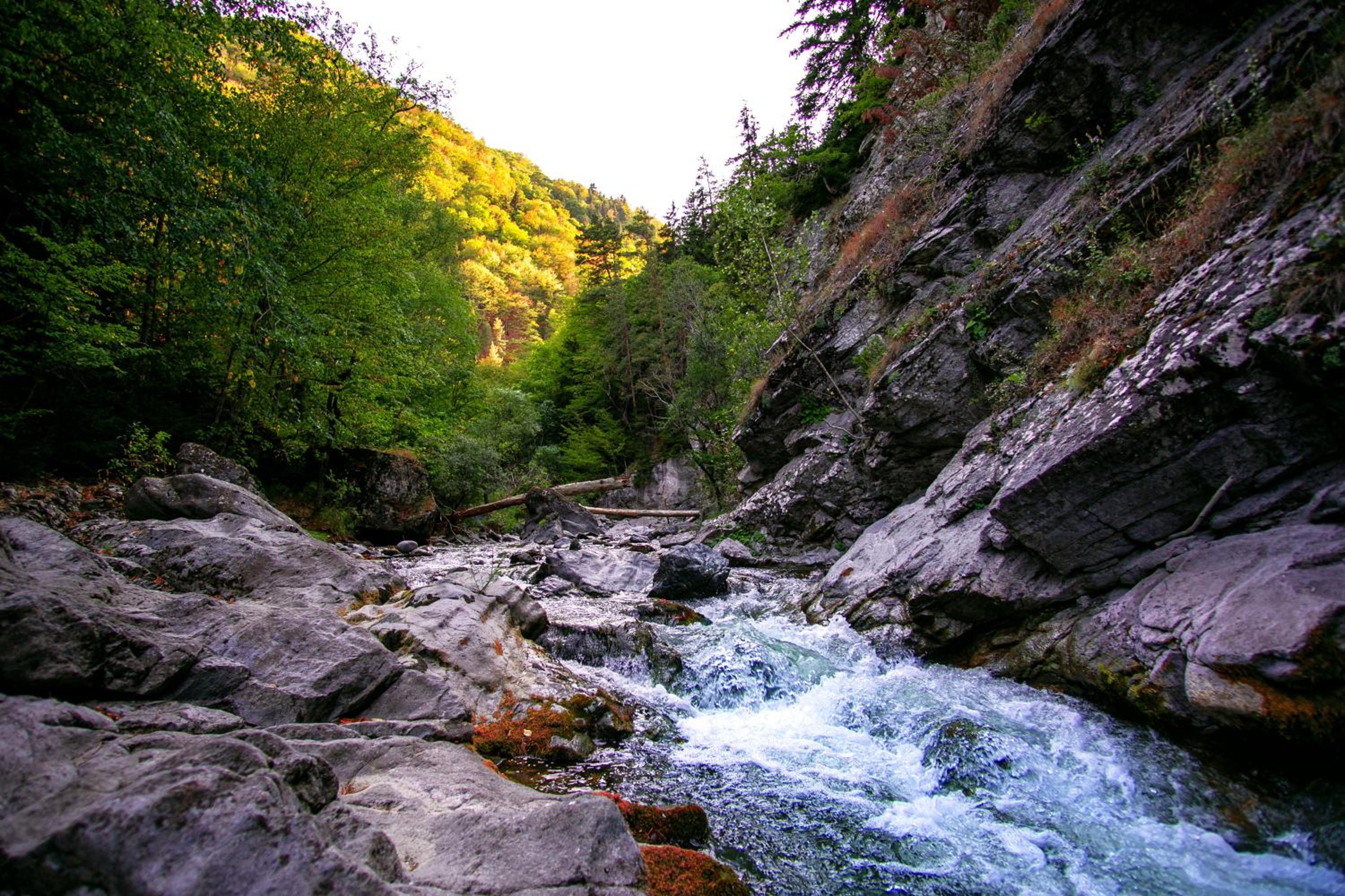Cottages Naqoshari