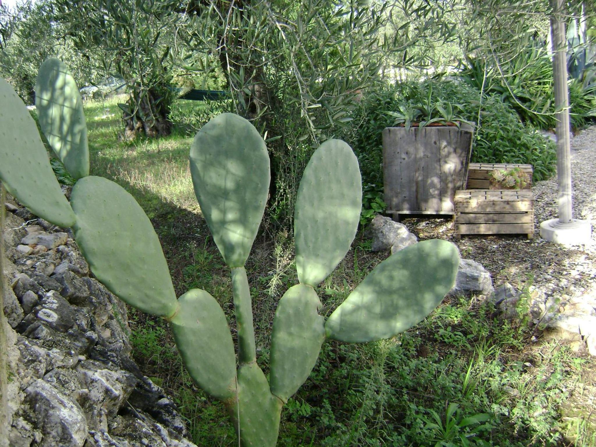 B&B Villa Mediterranea with private parking