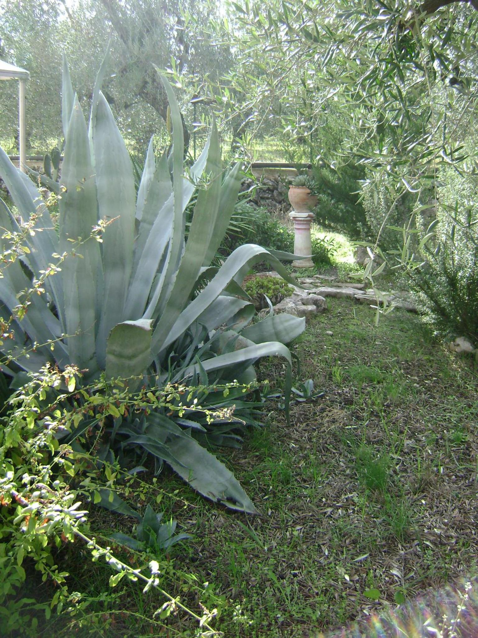 B&B Villa Mediterranea with private parking
